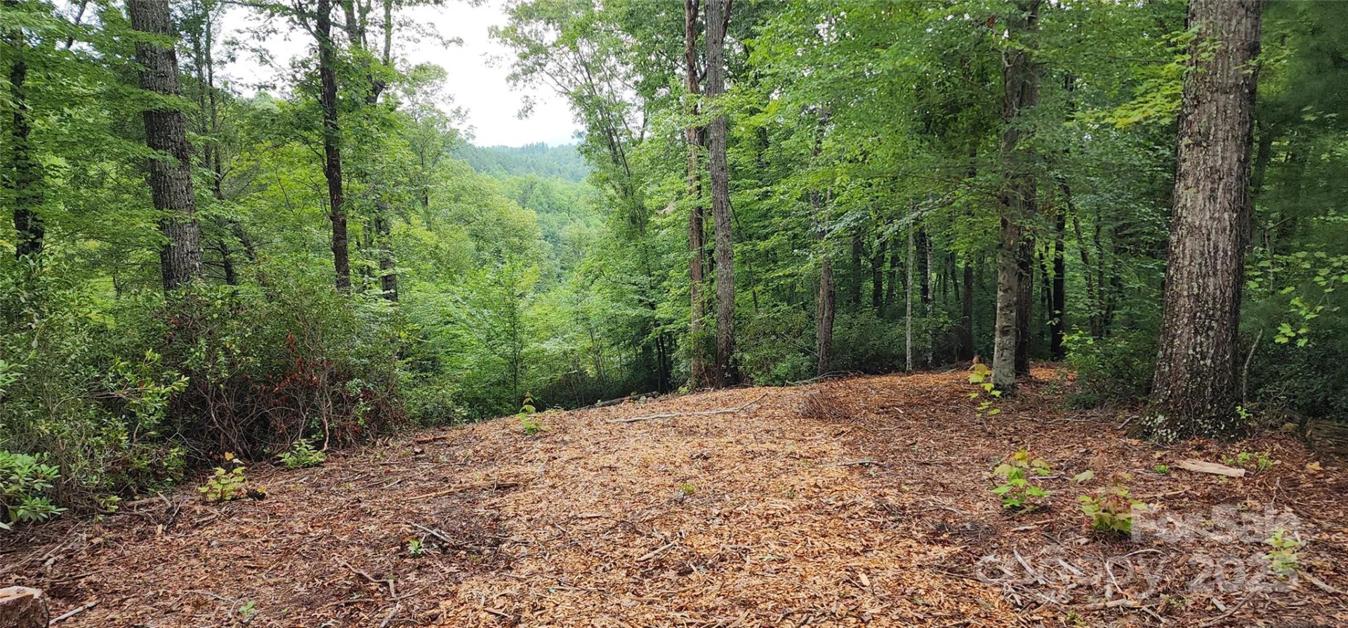 LOT 3 Cross Creek Trail - Photo 20
