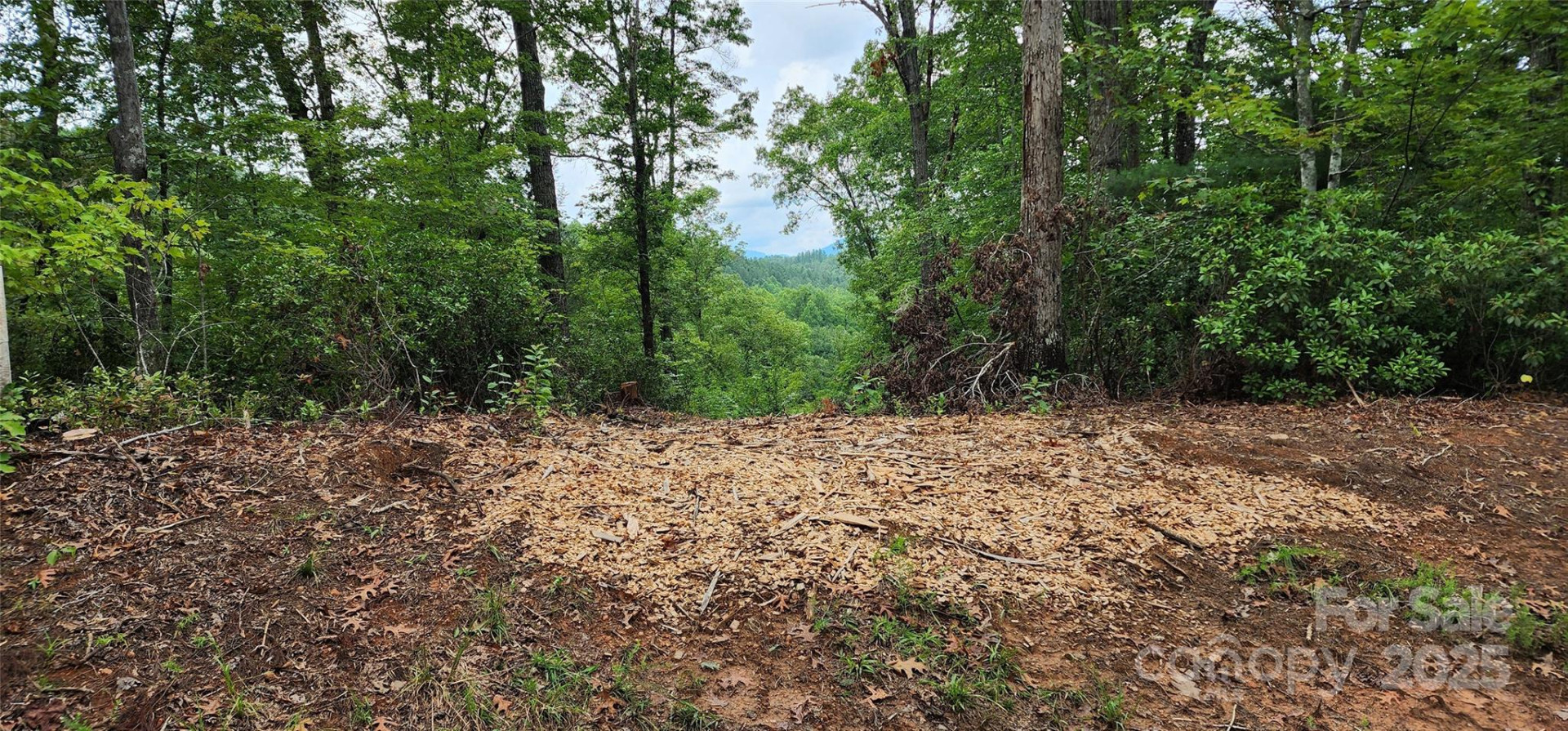 LOT 3 Cross Creek Trail - Photo 25