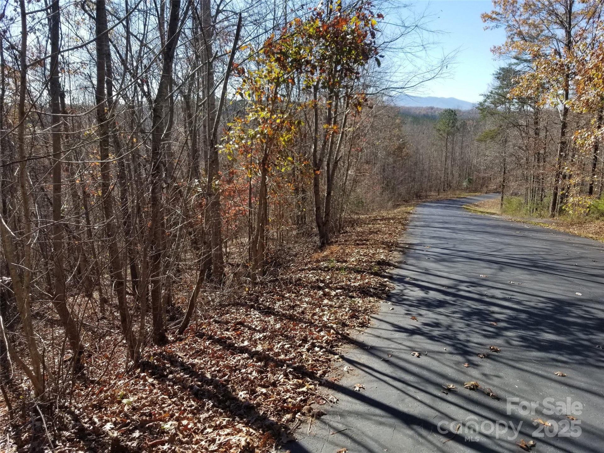 LOT 3 Cross Creek Trail - Photo 7