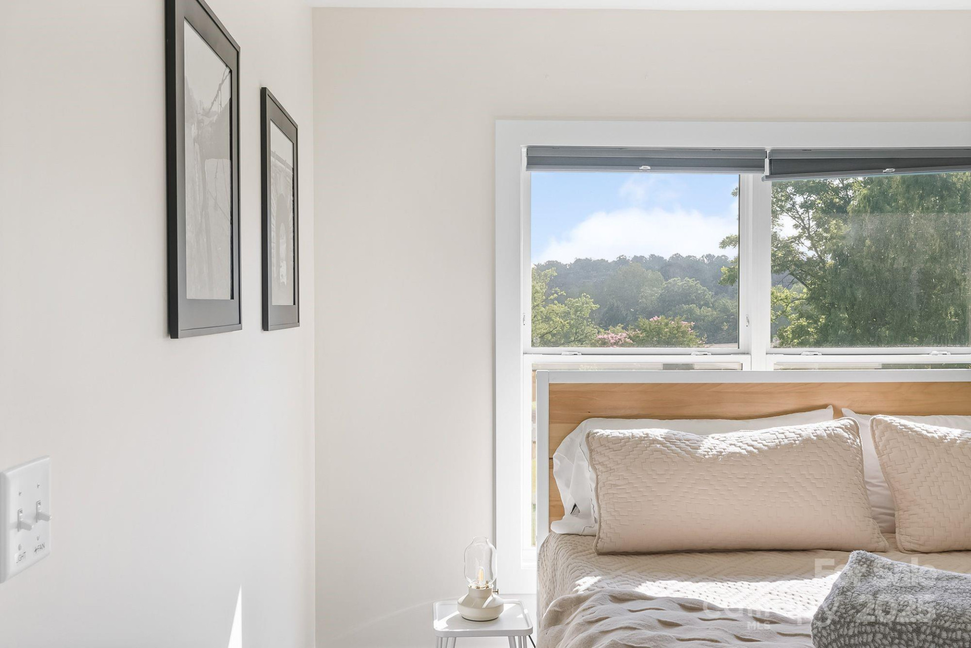 8 Green Tree Lane - Photo 27