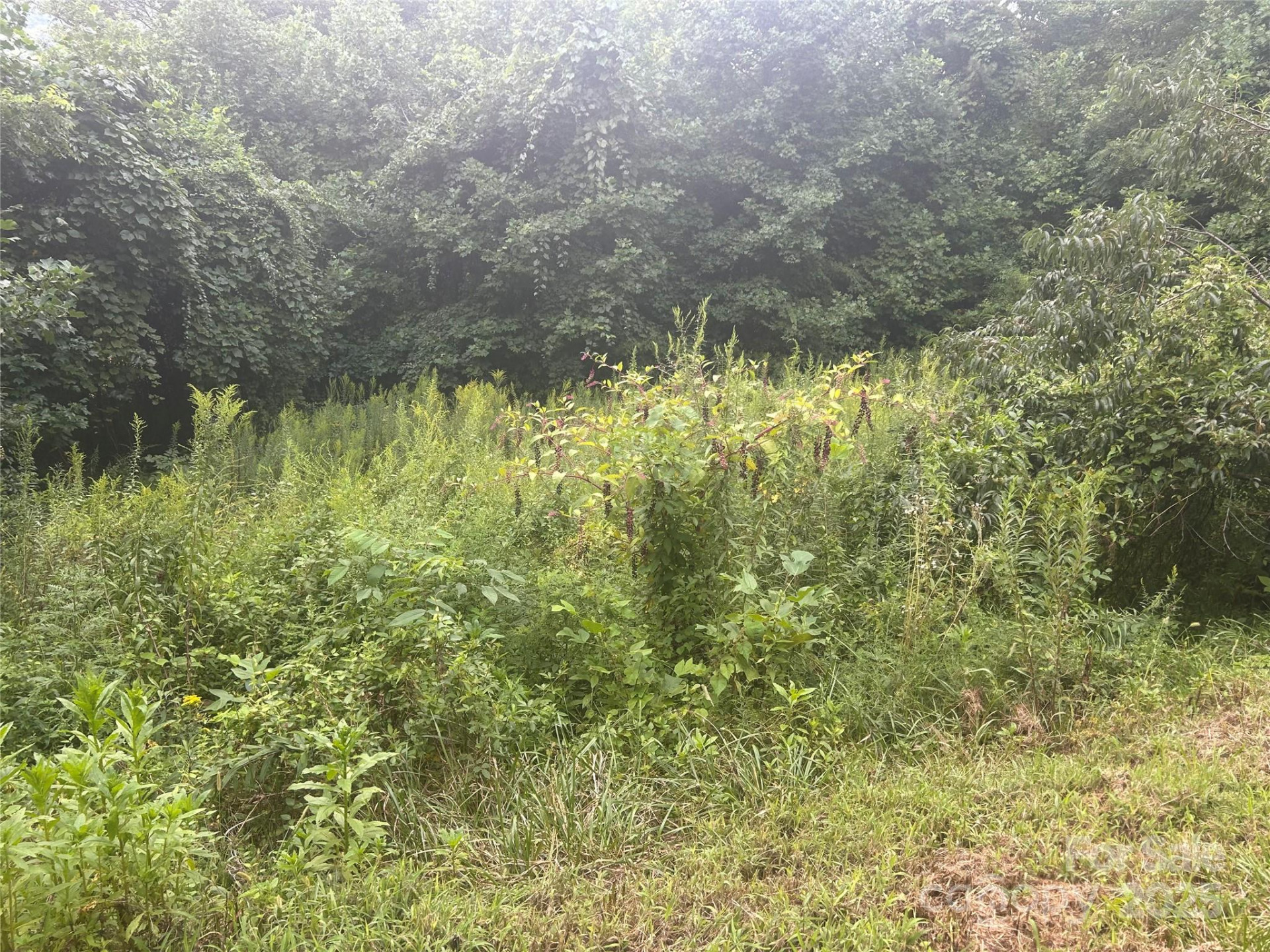 103 Cambridge Way - Photo 3