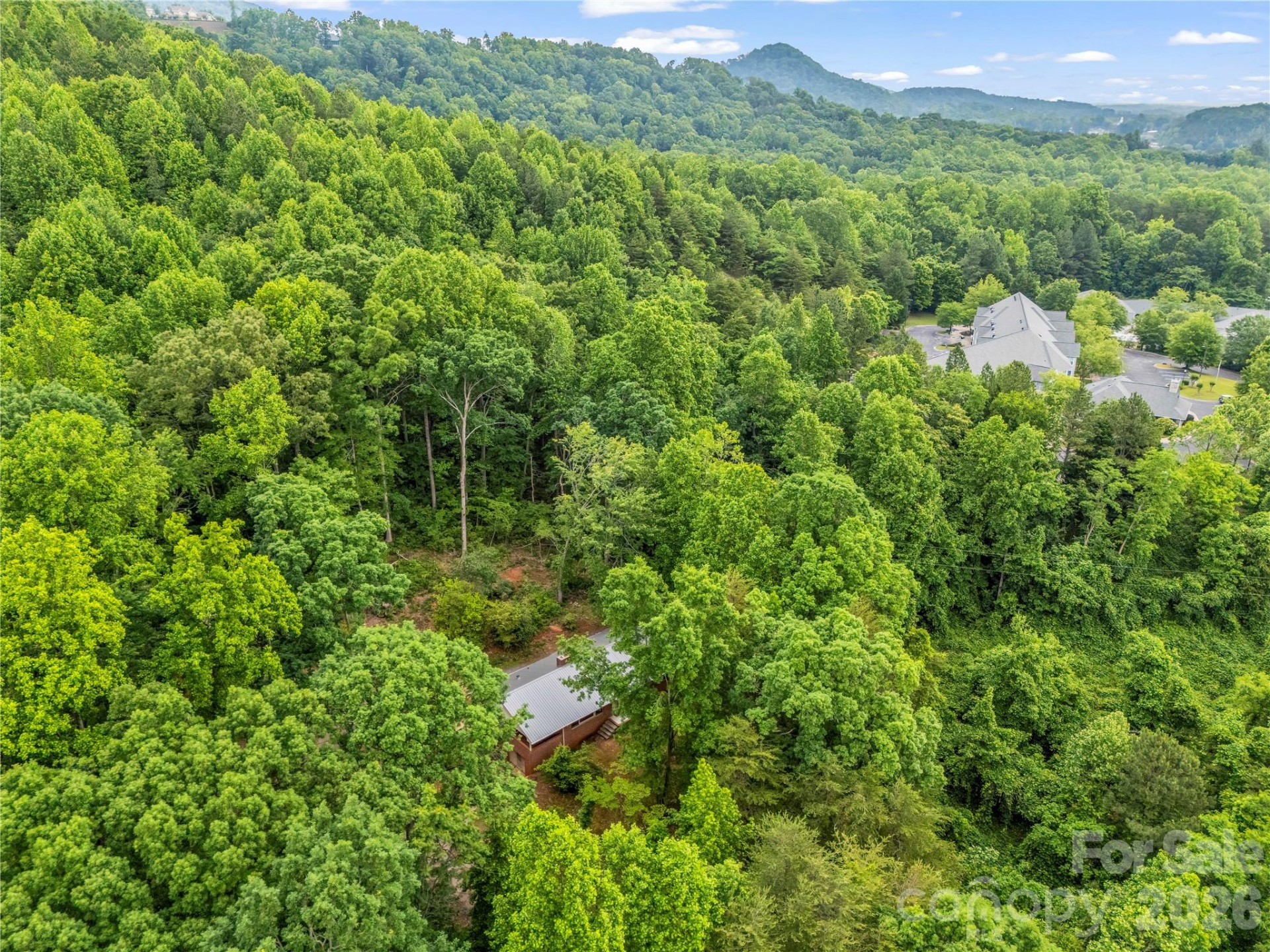 200 Little Wings Mountain Road - Photo 34