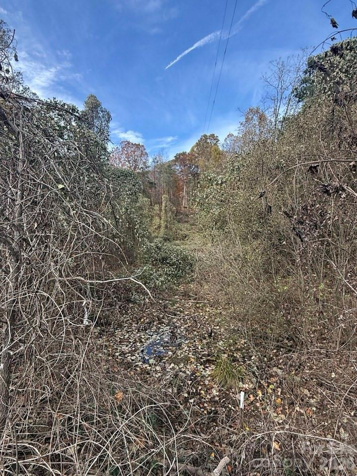 200 Little Wings Mountain Road - Photo 38