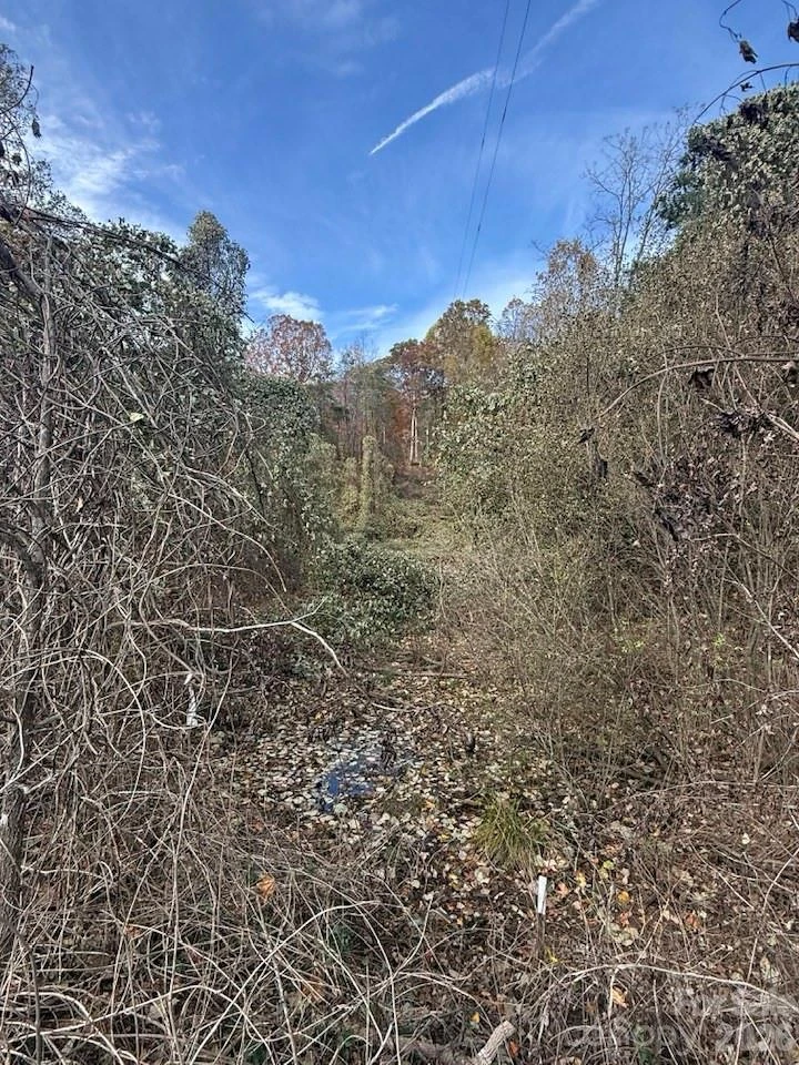 200 Little Wings Mountain Road - Photo 38