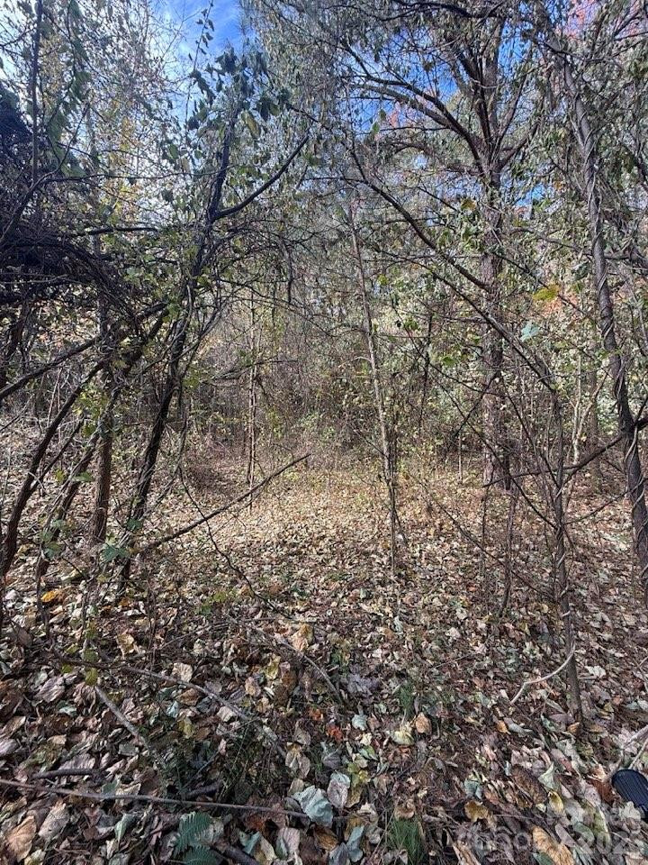 200 Little Wings Mountain Road - Photo 39