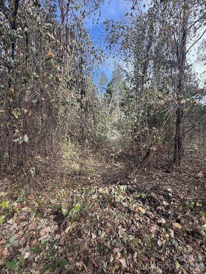 200 Little Wings Mountain Road - Photo 40