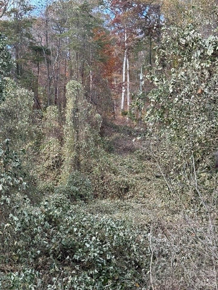 200 Little Wings Mountain Road - Photo 41