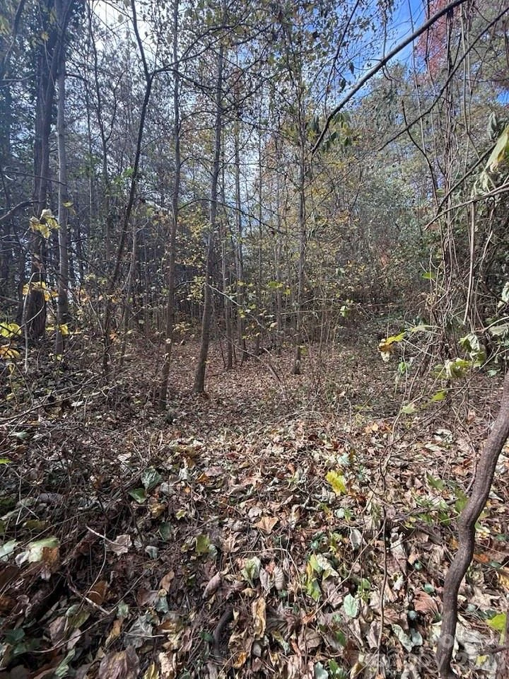 200 Little Wings Mountain Road - Photo 42