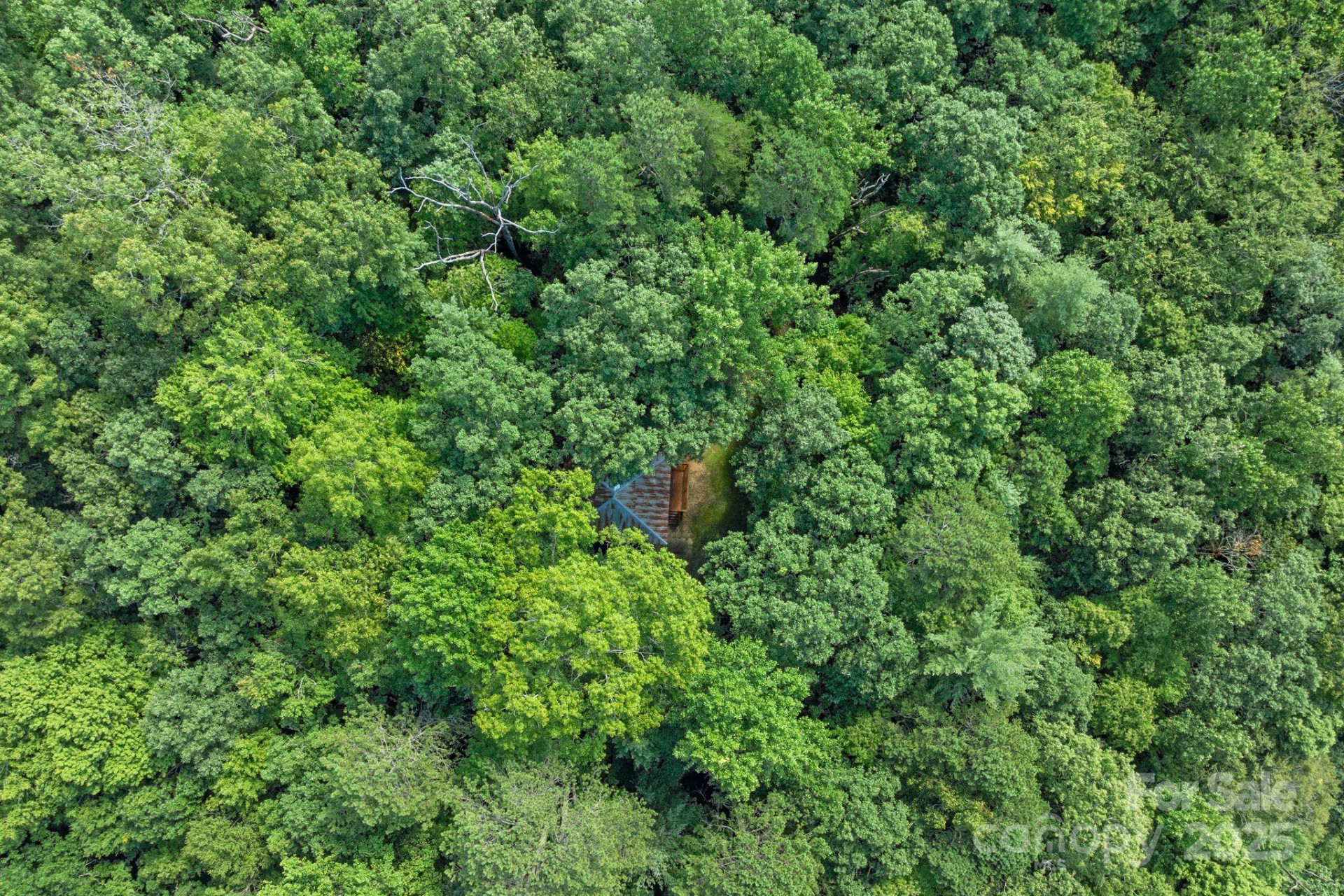 118 Blossom Road - Photo 18