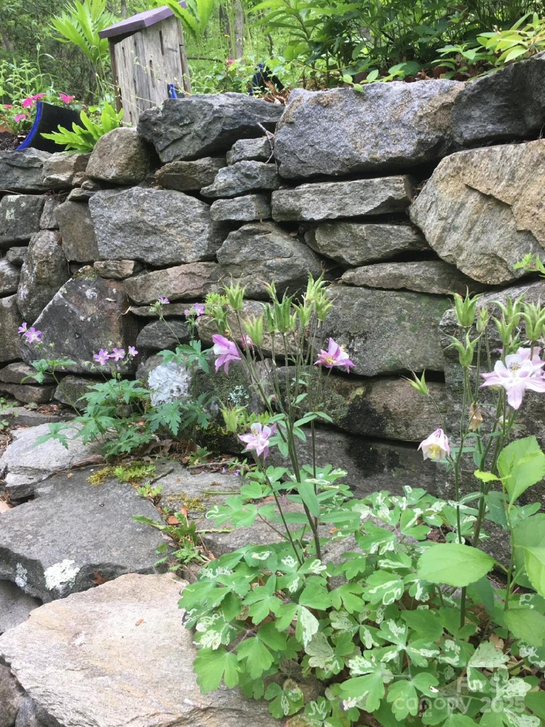 117 Woods View Trail - Photo 33