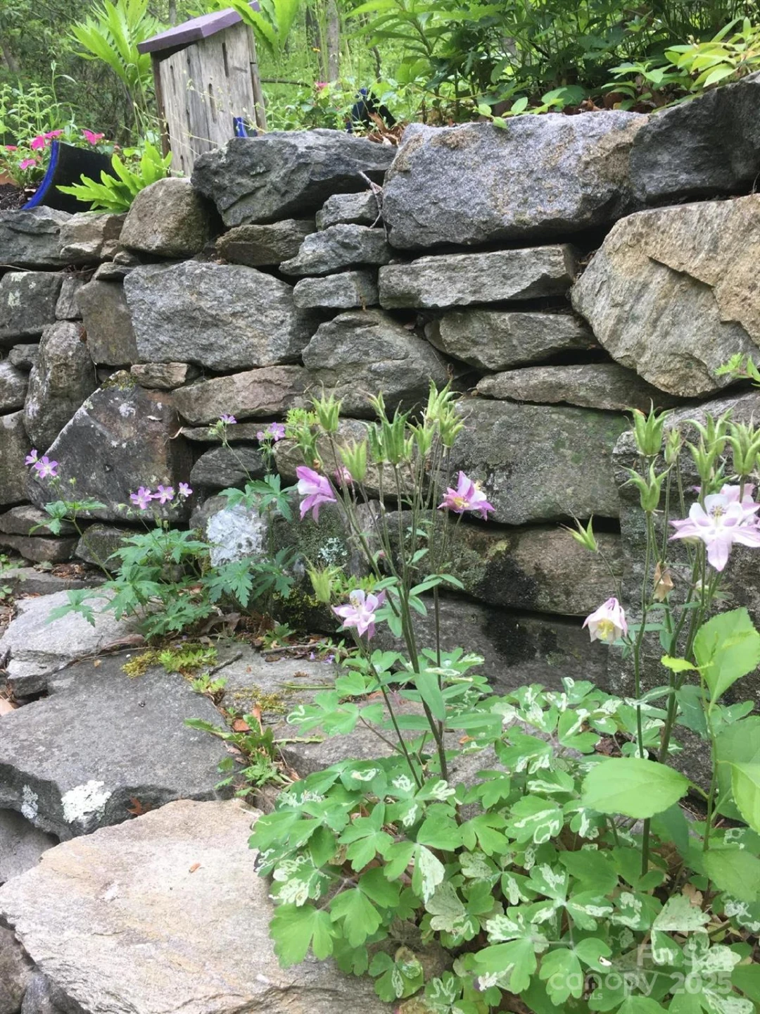 117 Woods View Trail - Photo 33