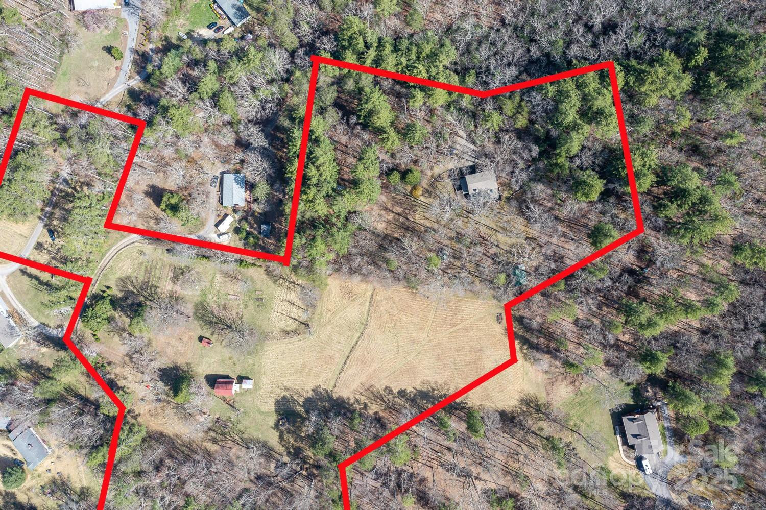 117 Woods View Trail - Photo 48