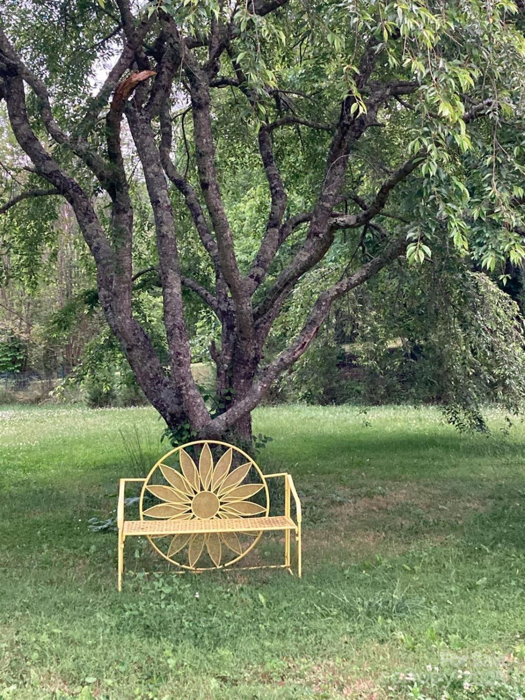 117 Woods View Trail - Photo 12