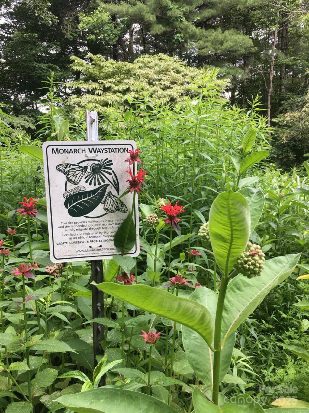 117 Woods View Trail - Photo 13