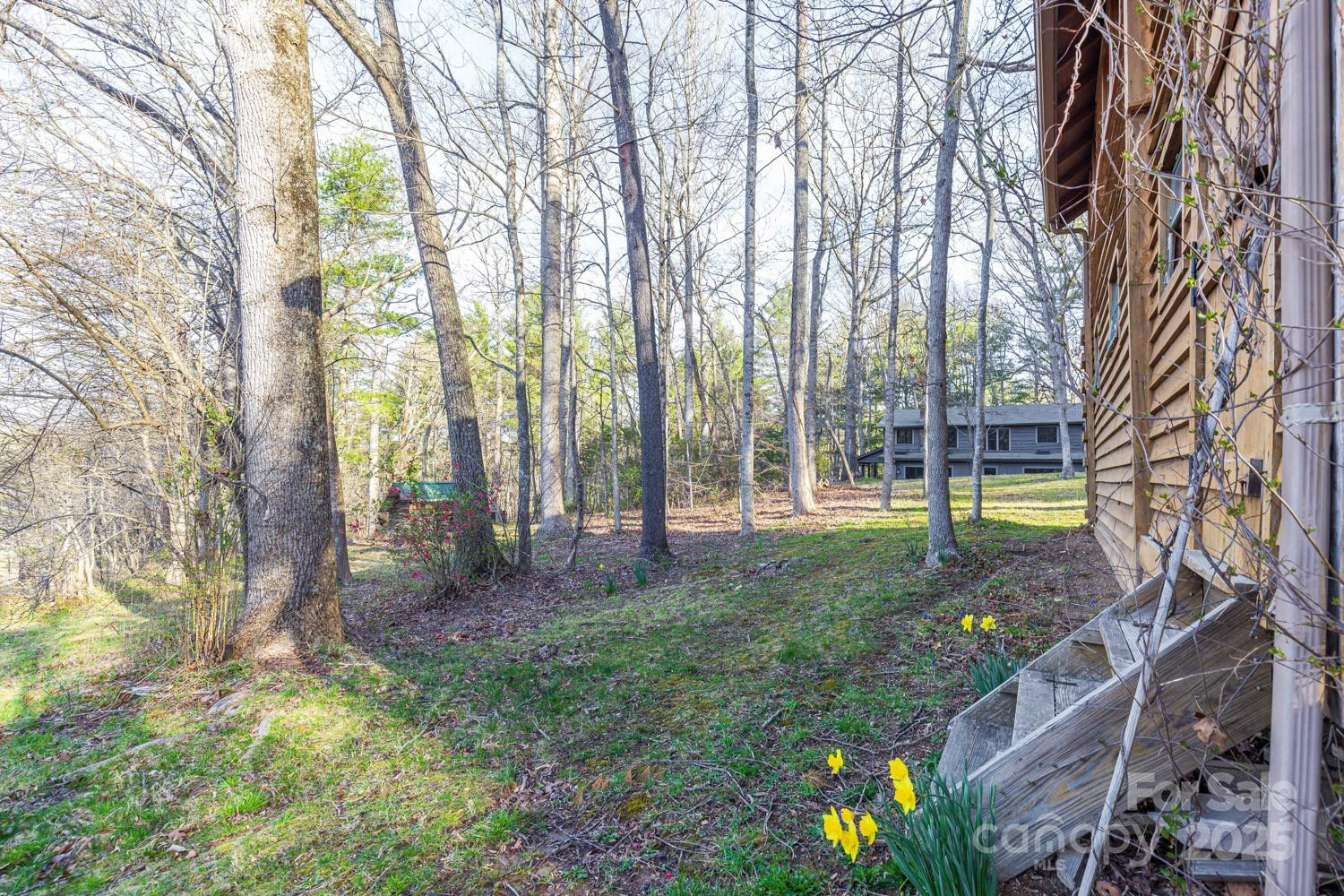 117 Woods View Trail - Photo 21