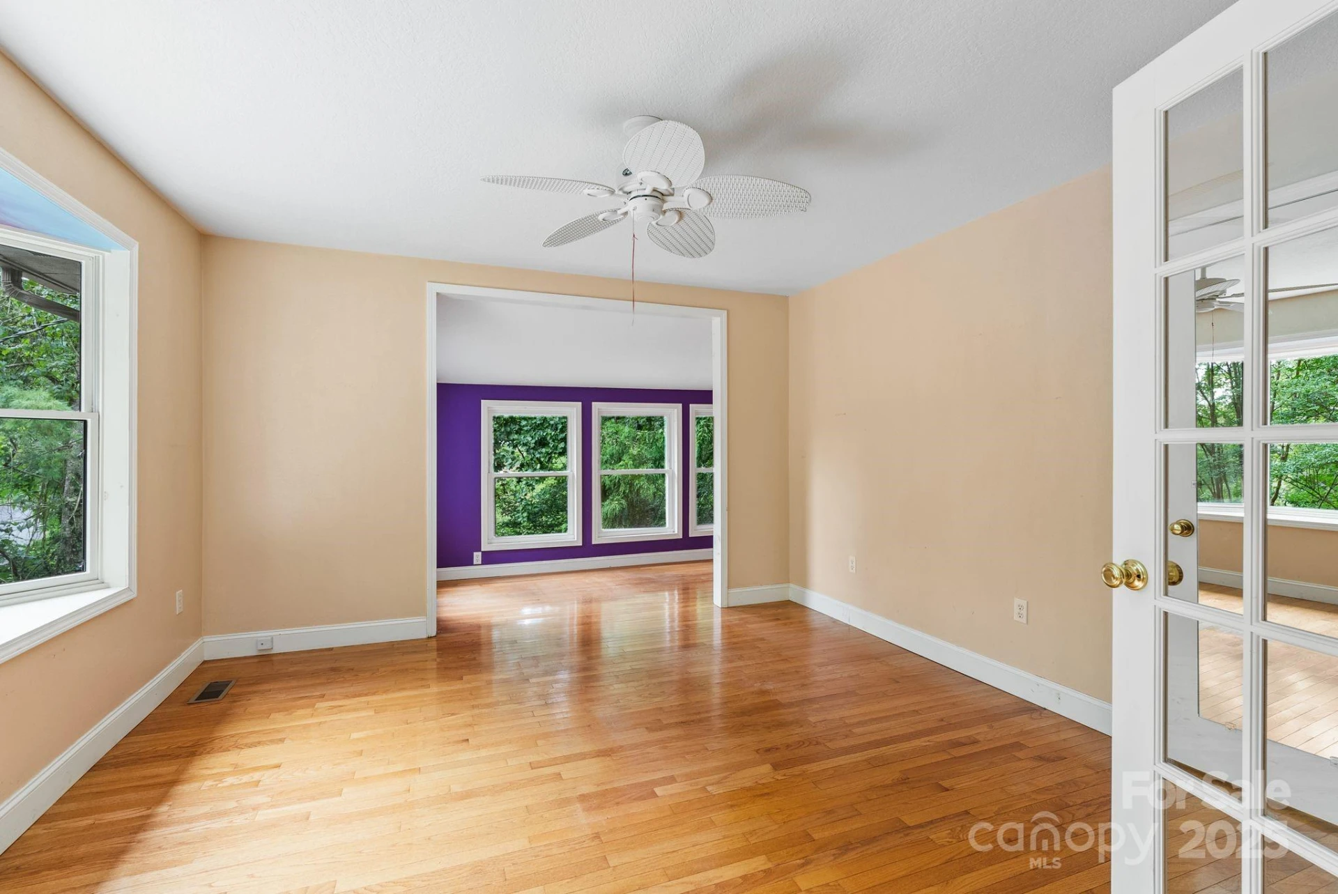 15 Mayfield Road - Photo 11