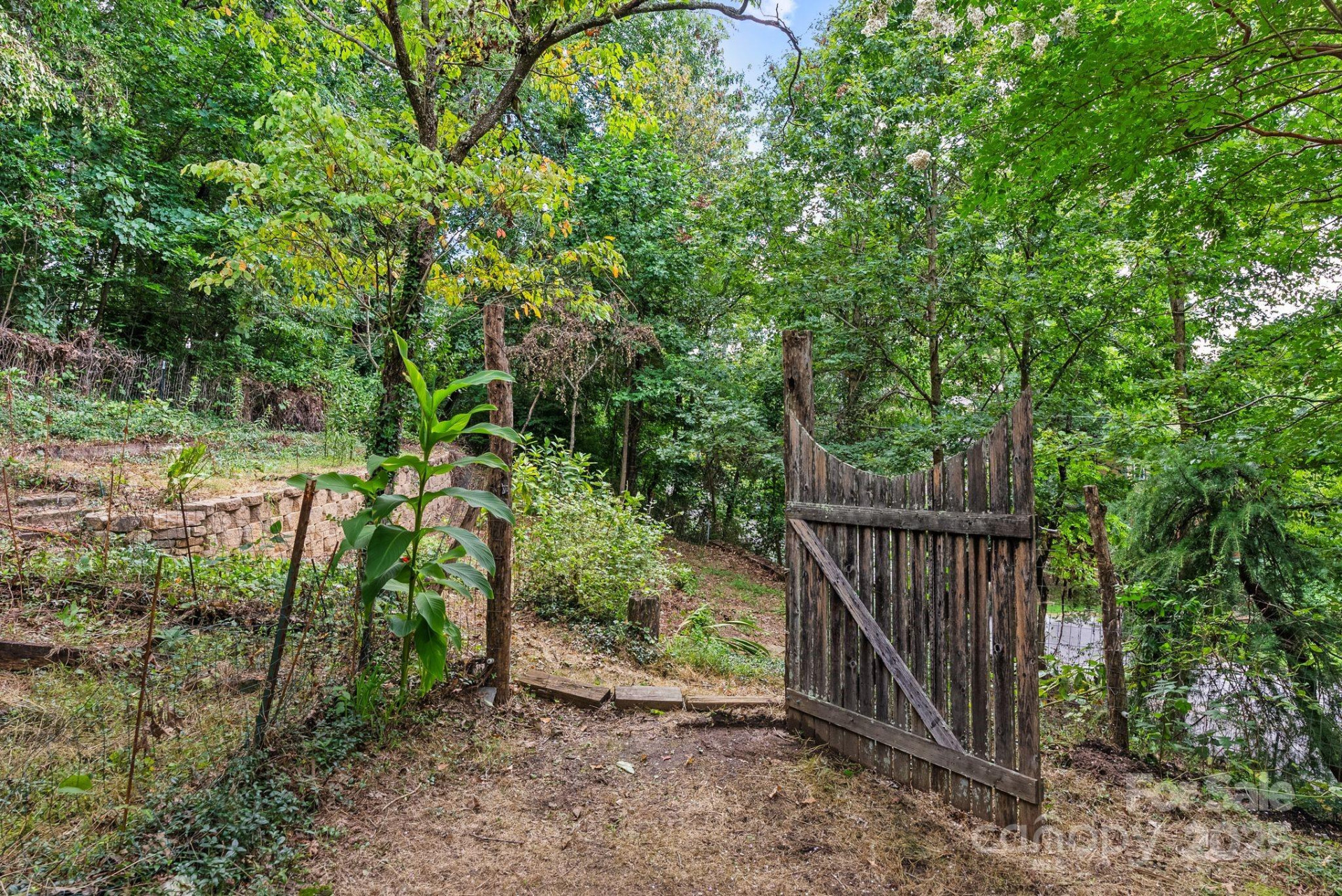 15 Mayfield Road - Photo 39