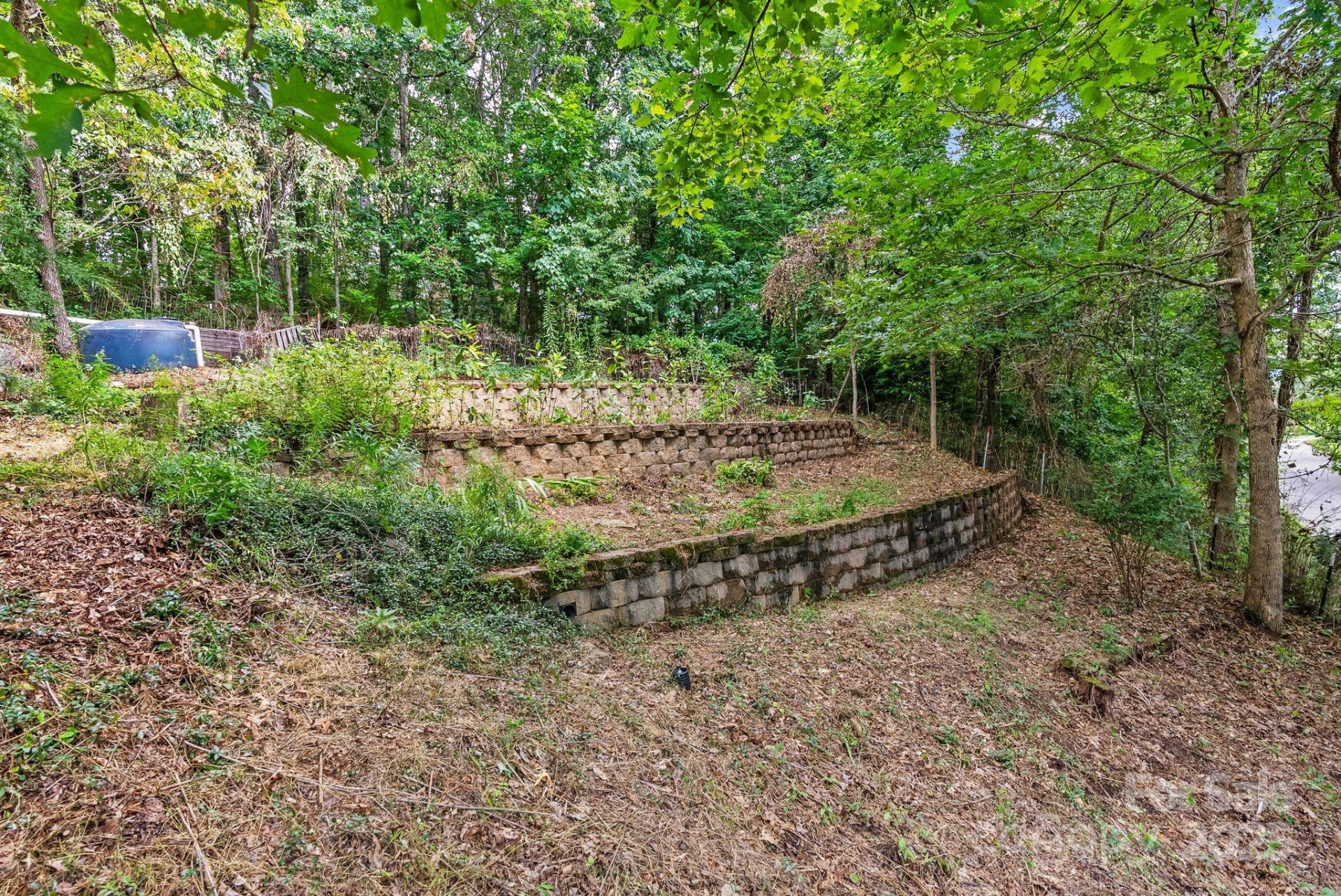 15 Mayfield Road - Photo 40