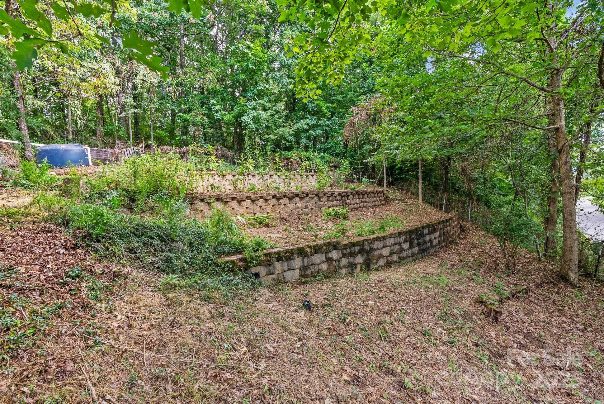 15 Mayfield Road - Photo 40