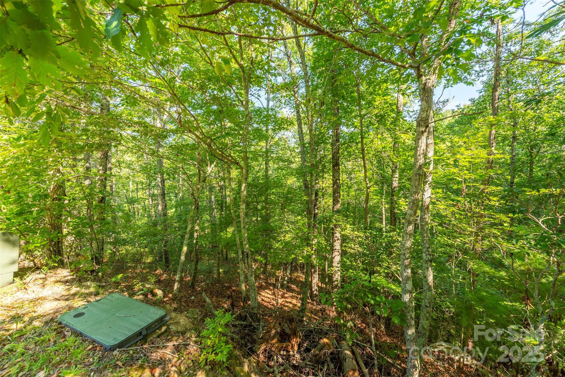 230 White Rapid Road - Photo 2