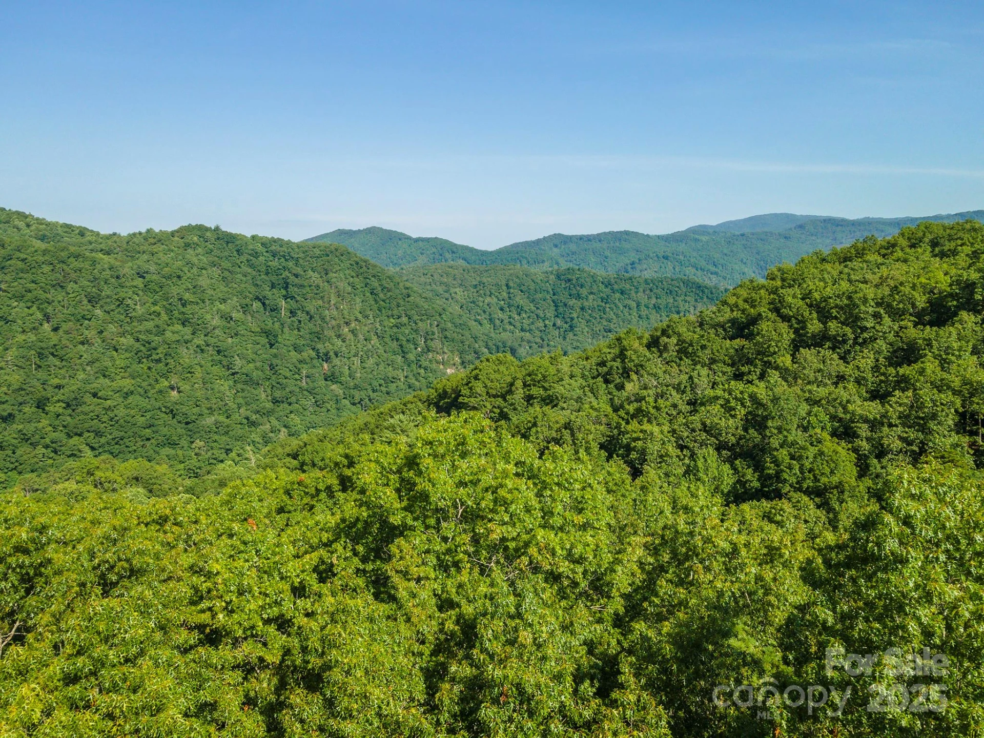 230 White Rapid Road - Photo 14