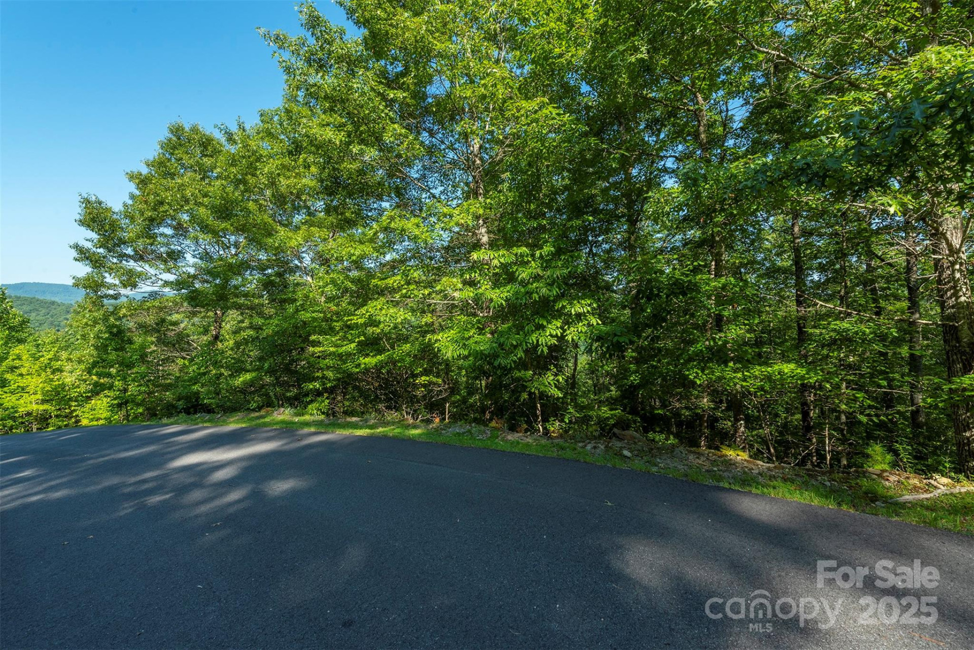 230 White Rapid Road - Photo 3