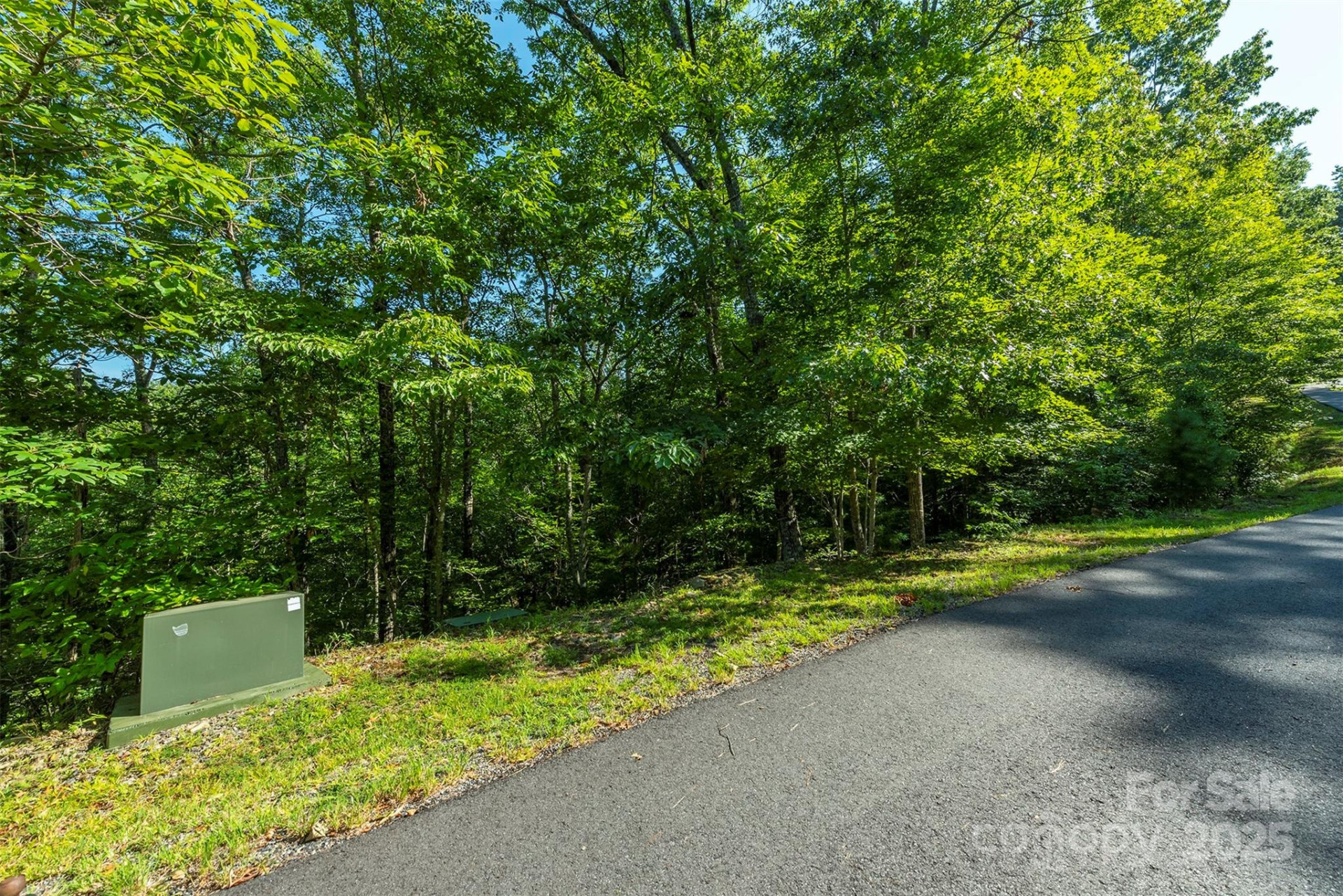 230 White Rapid Road - Photo 4