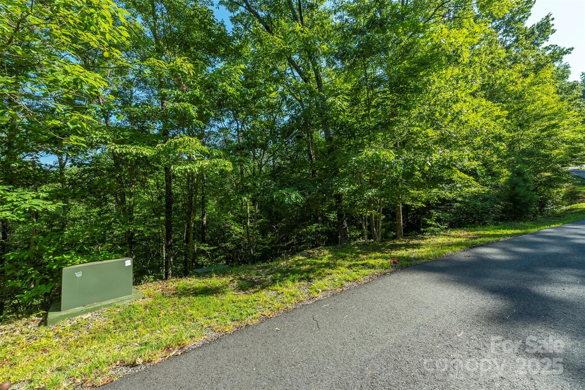 230 White Rapid Road - Photo 4
