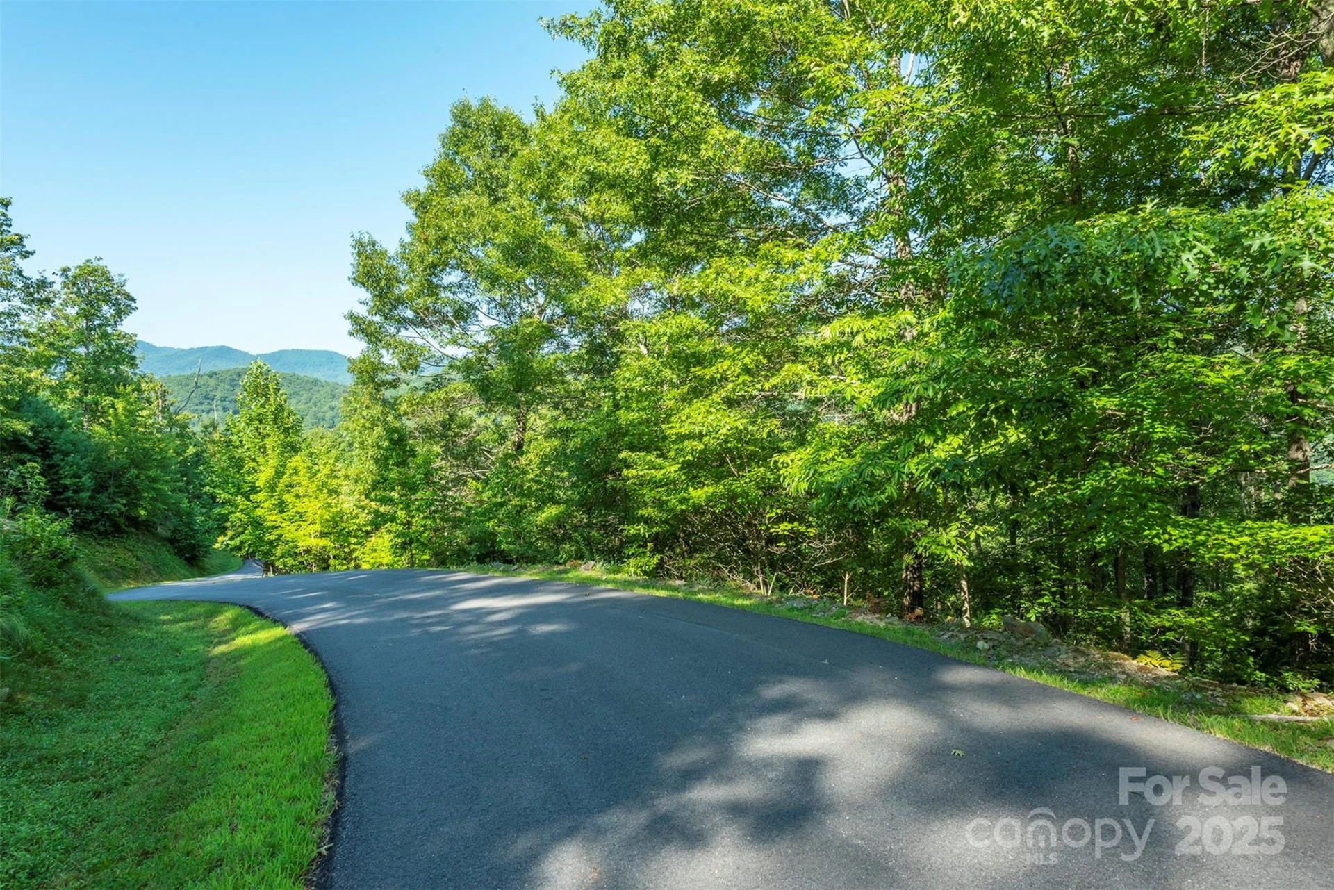 230 White Rapid Road - Photo 5