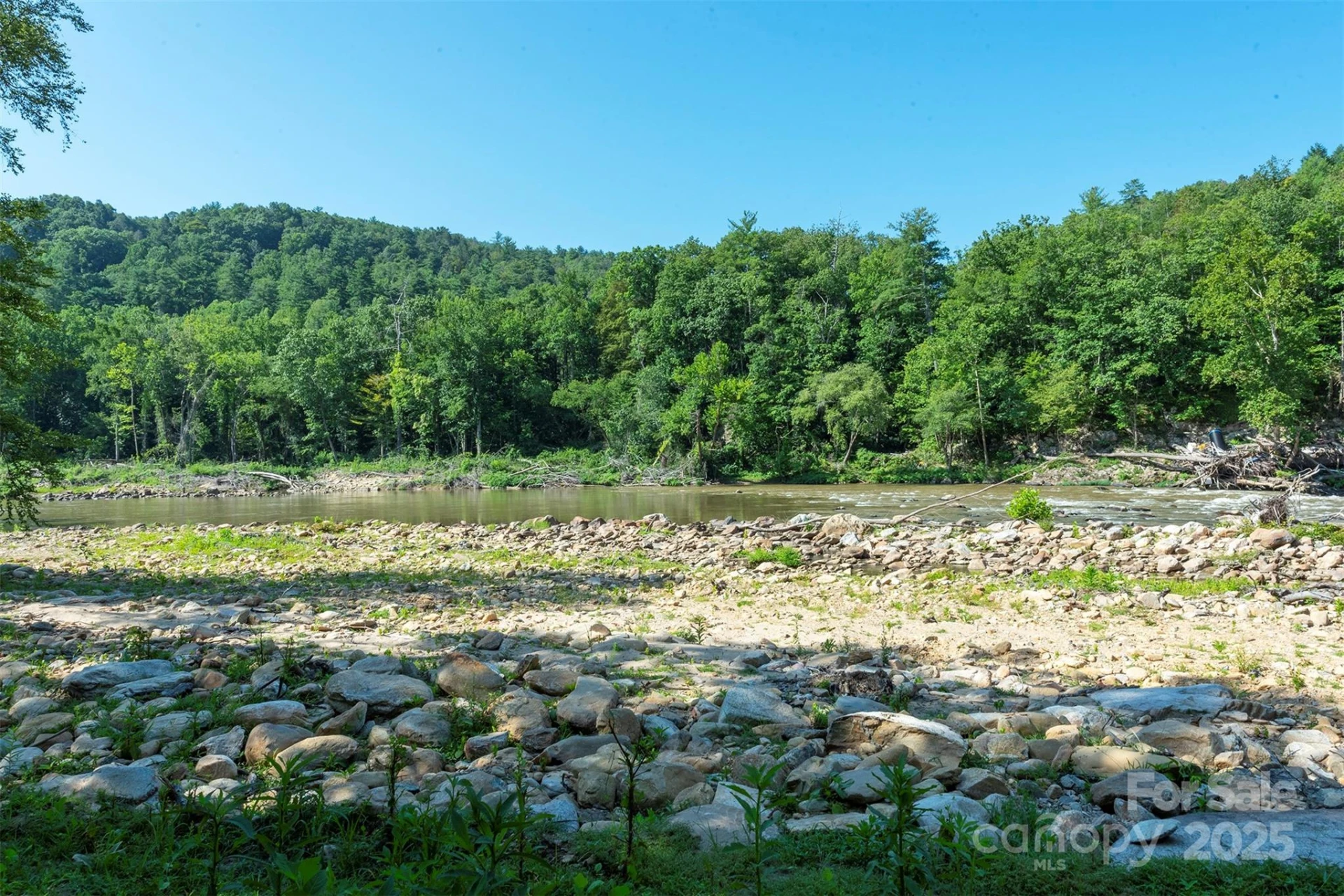 230 White Rapid Road - Photo 9