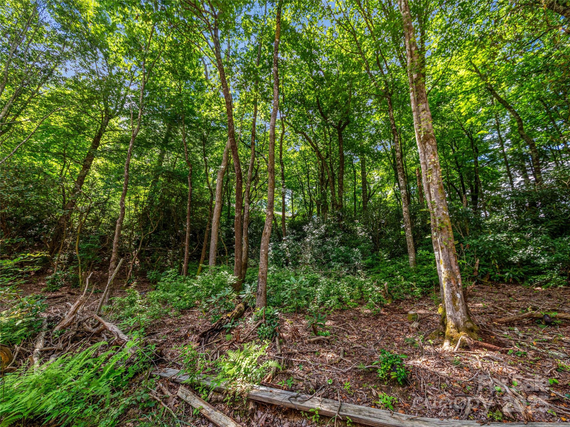 TBD Seminole Way - Photo 12