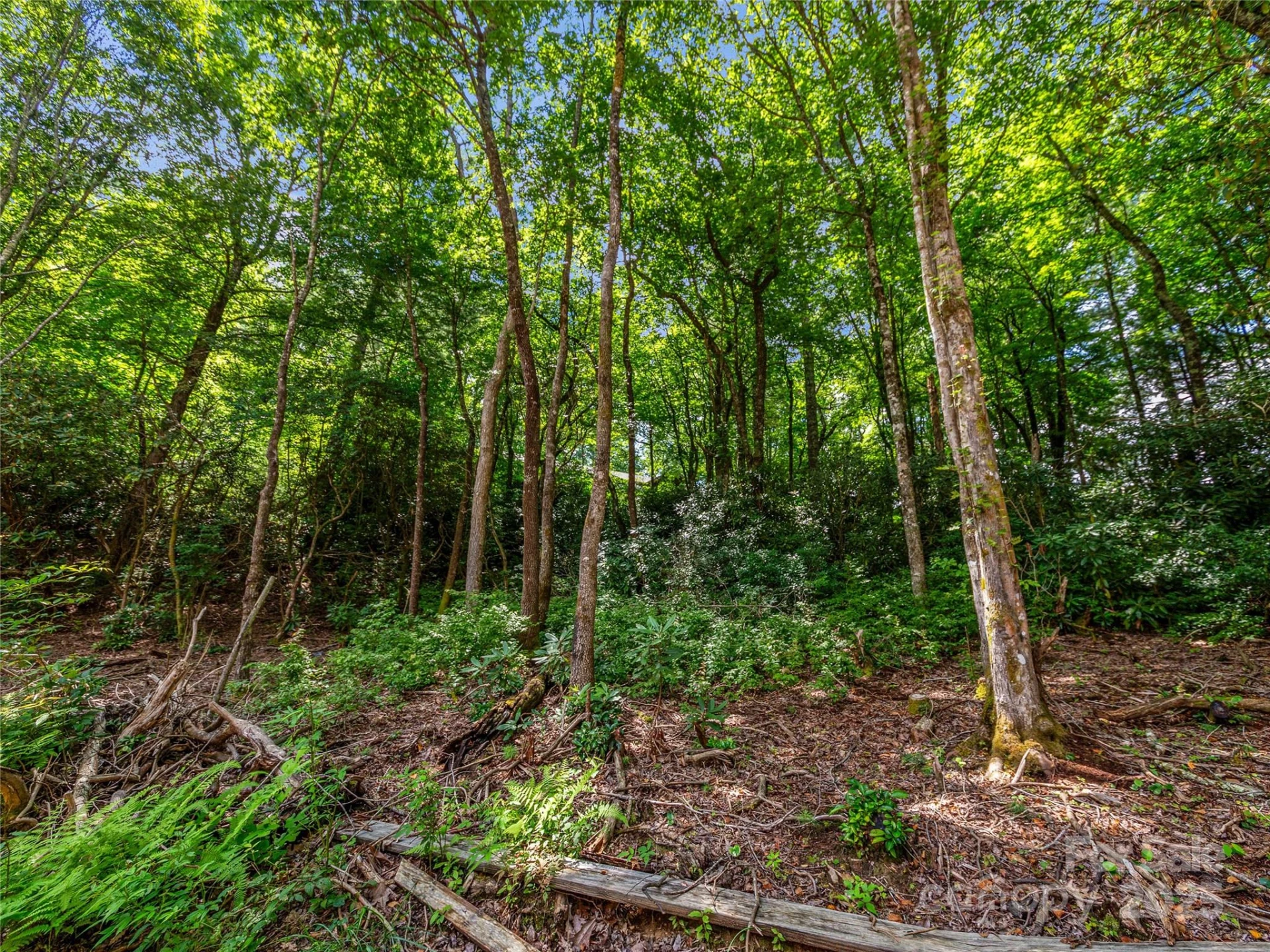 TBD Seminole Way - Photo 12