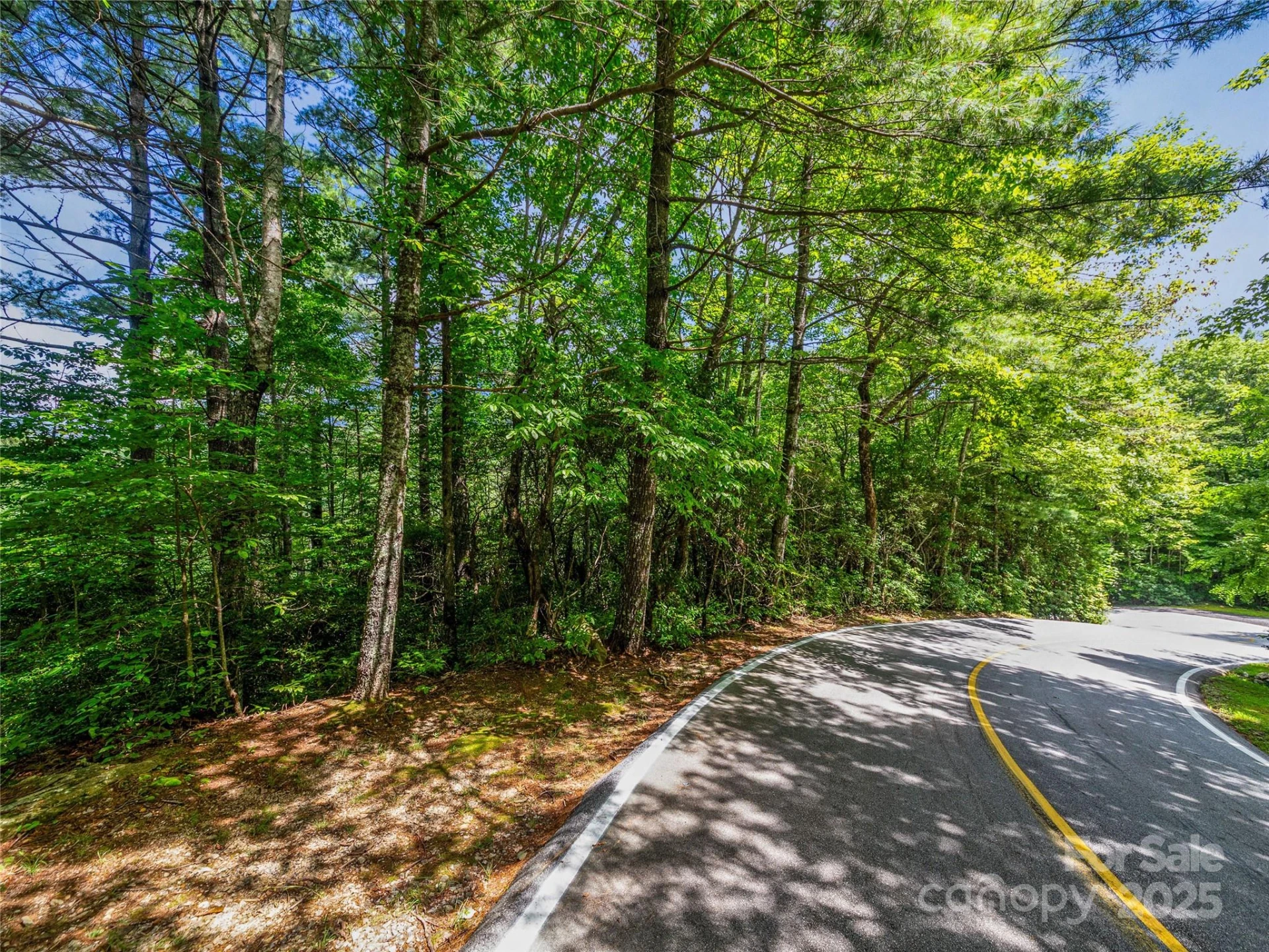 TBD Seminole Way - Photo 14