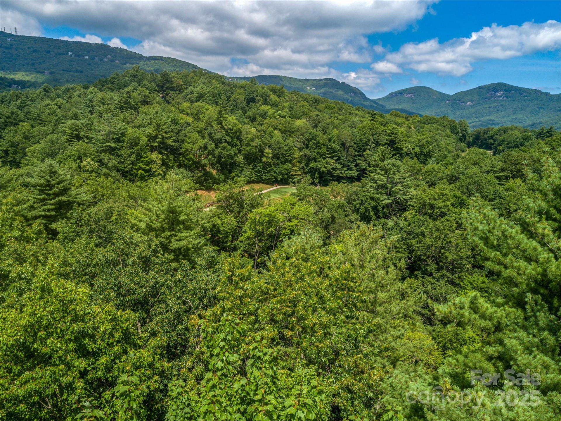 TBD Seminole Way - Photo 9