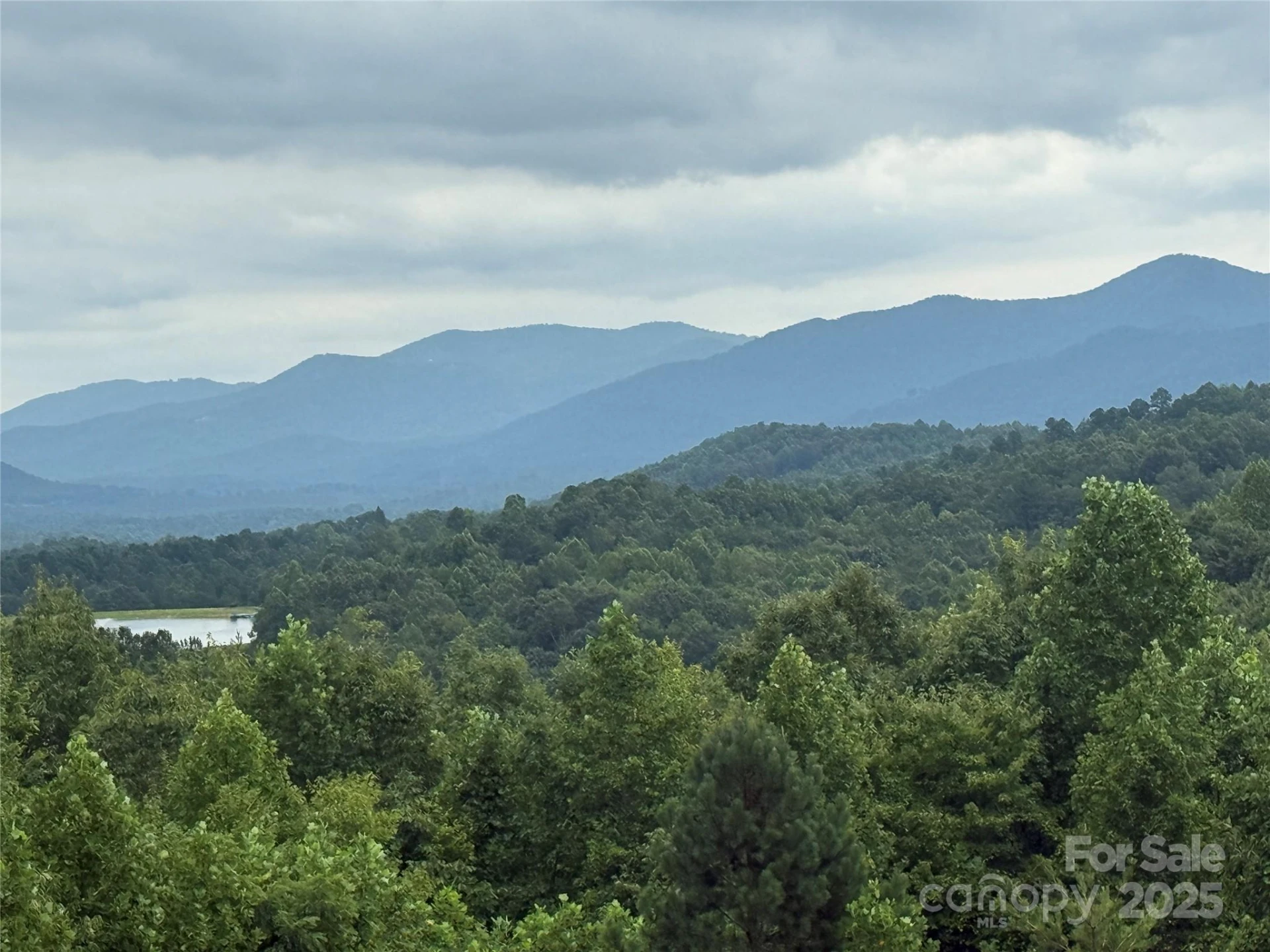 166 Coal Pit Mountain Drive #359 - Photo 2