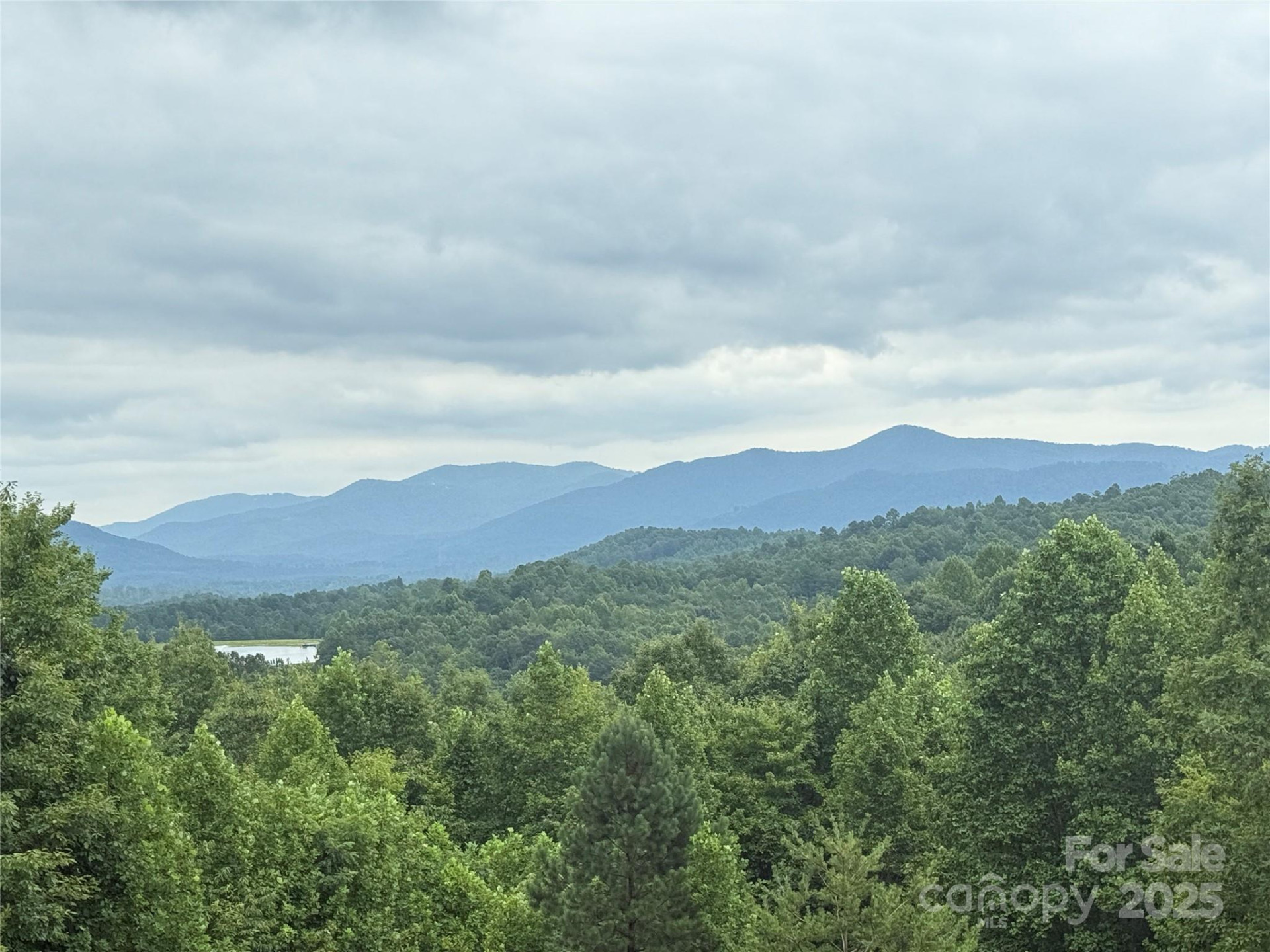 166 Coal Pit Mountain Drive #359 - Photo 11