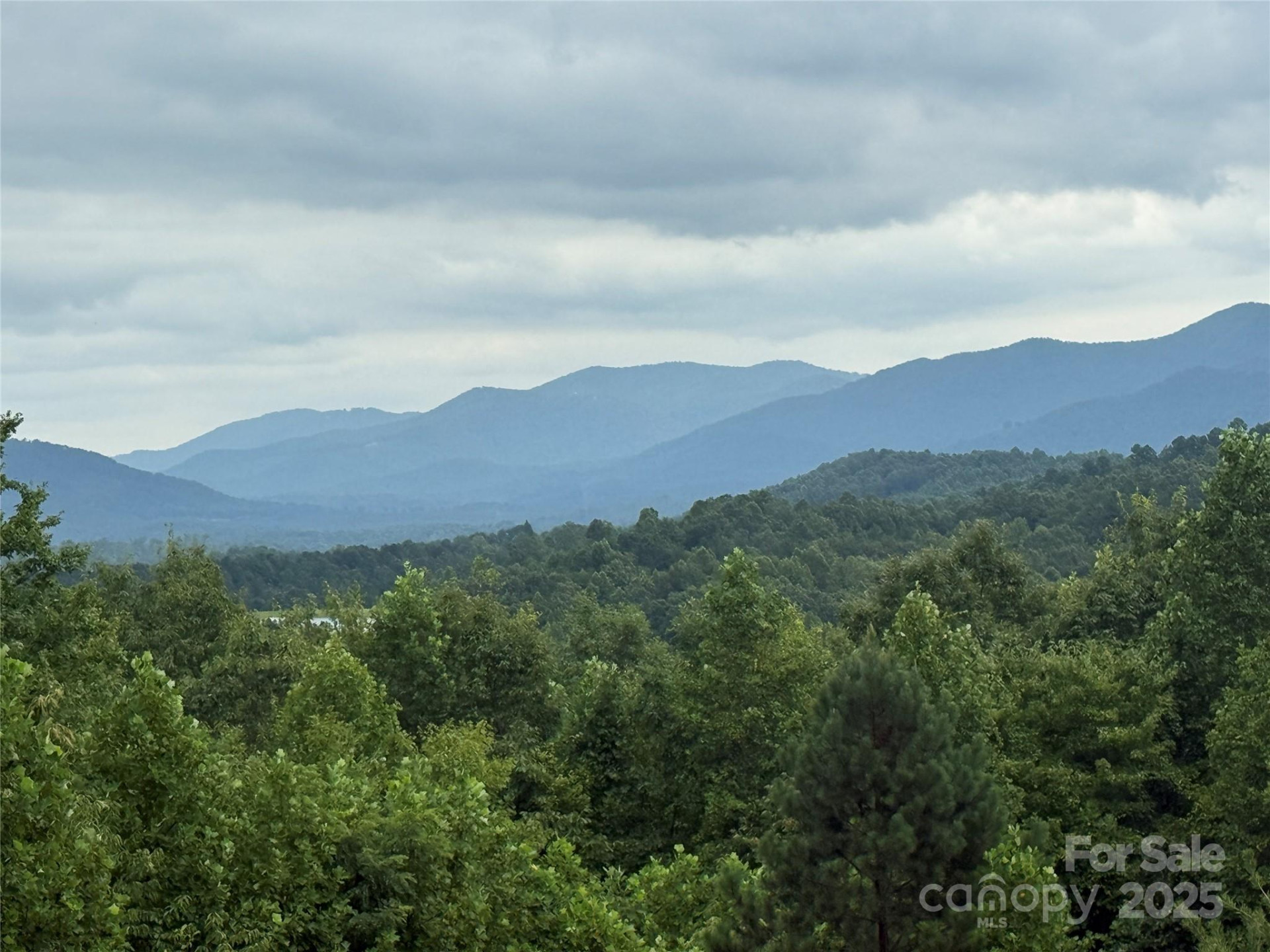 166 Coal Pit Mountain Drive #359 - Photo 12