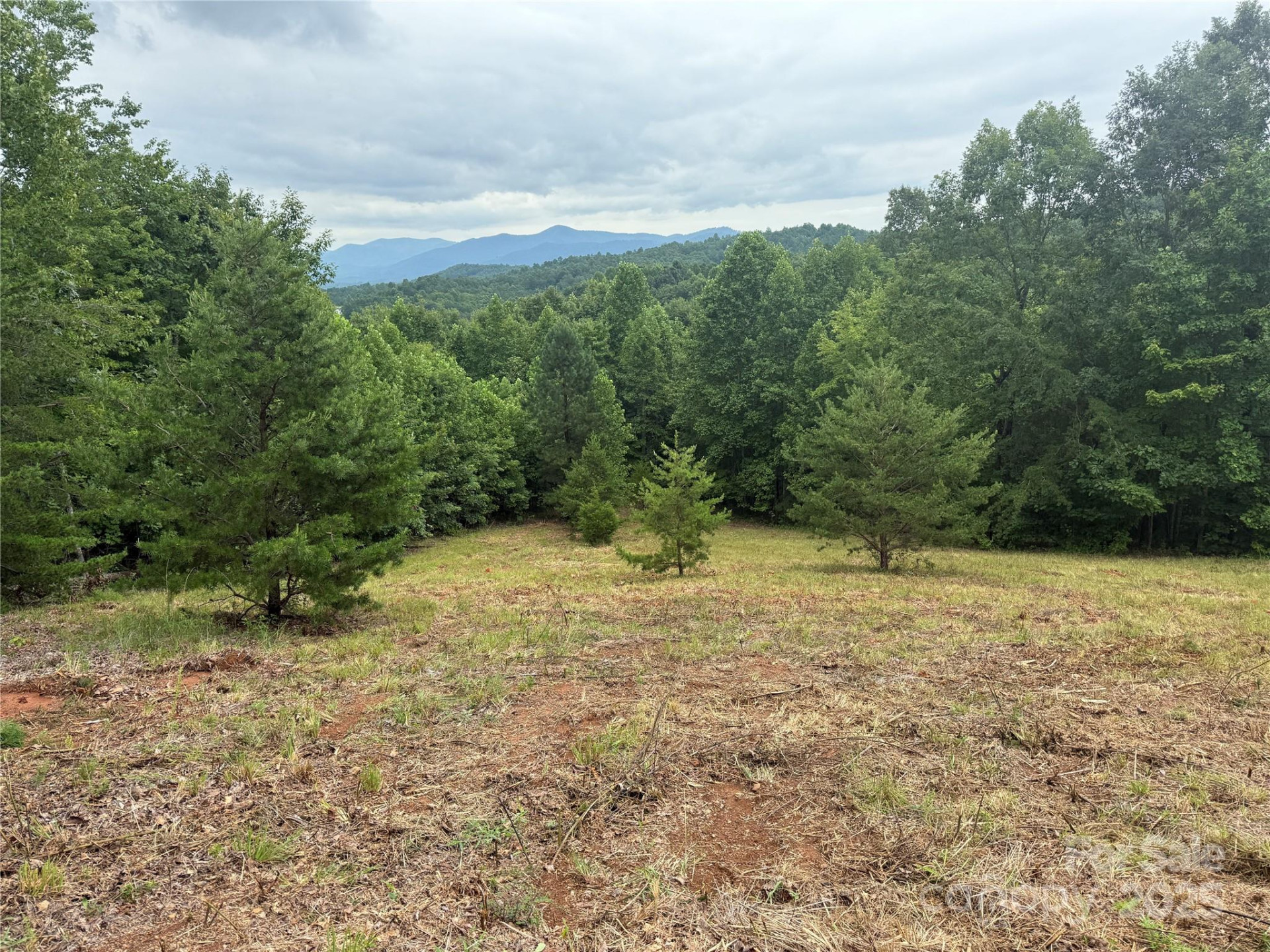 166 Coal Pit Mountain Drive #359 - Photo 13