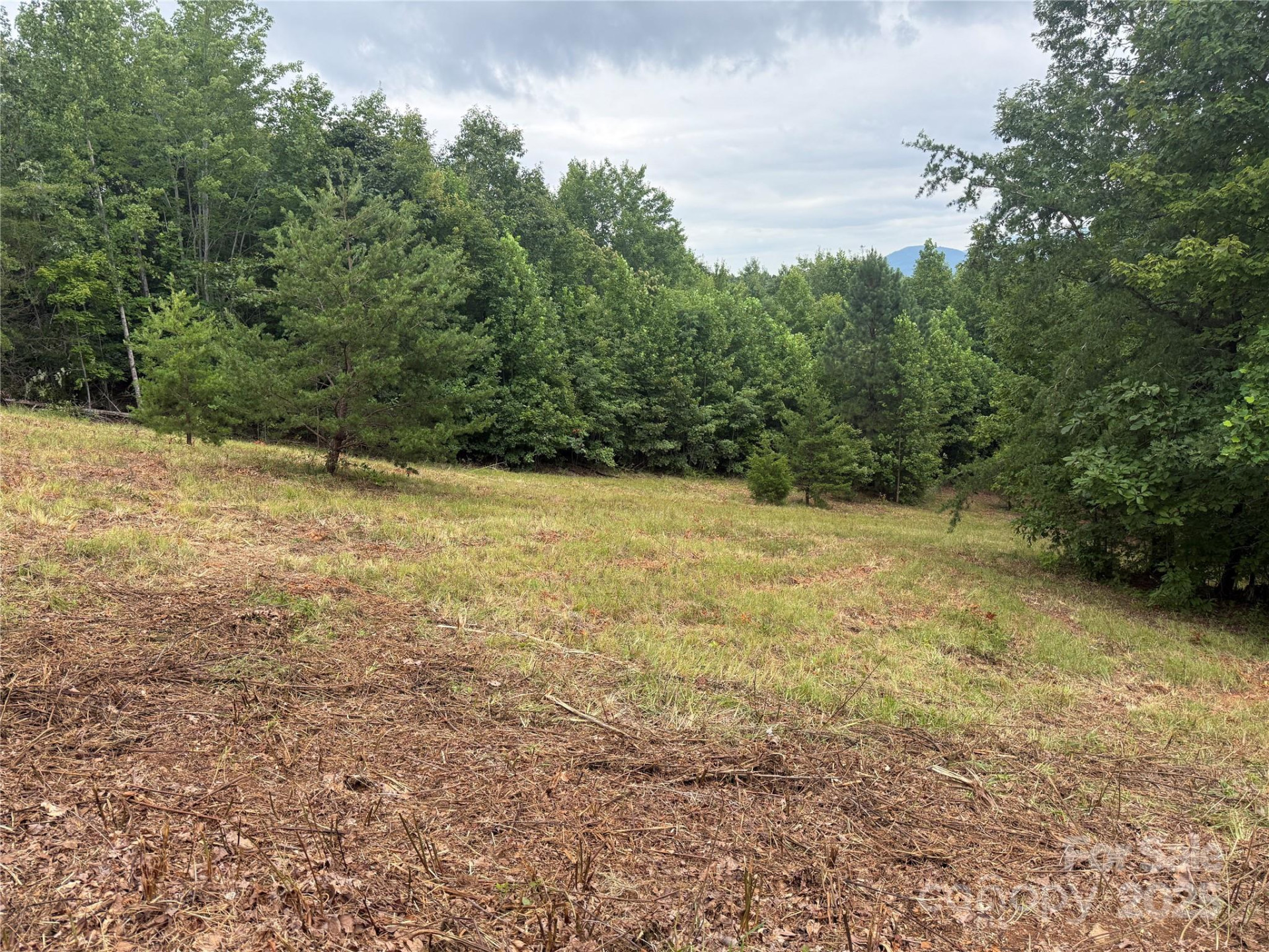 166 Coal Pit Mountain Drive #359 - Photo 15