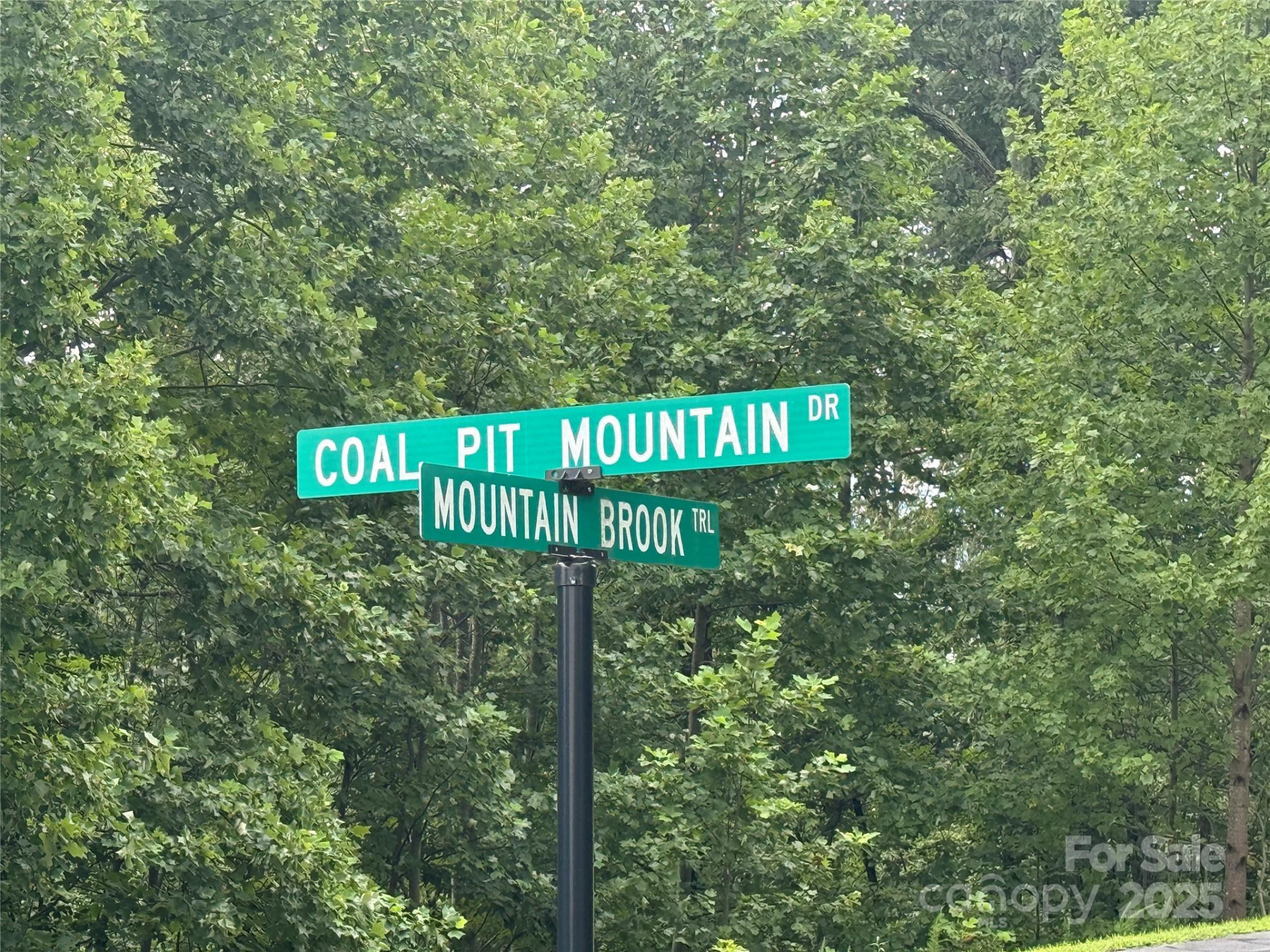 166 Coal Pit Mountain Drive #359 - Photo 17