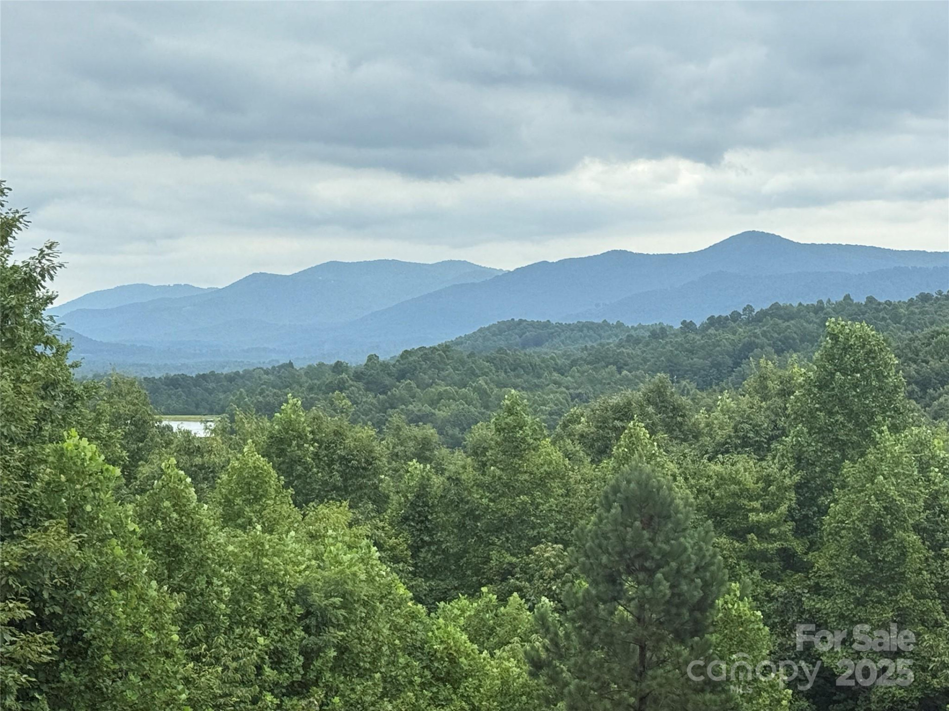 166 Coal Pit Mountain Drive #359 - Photo 3