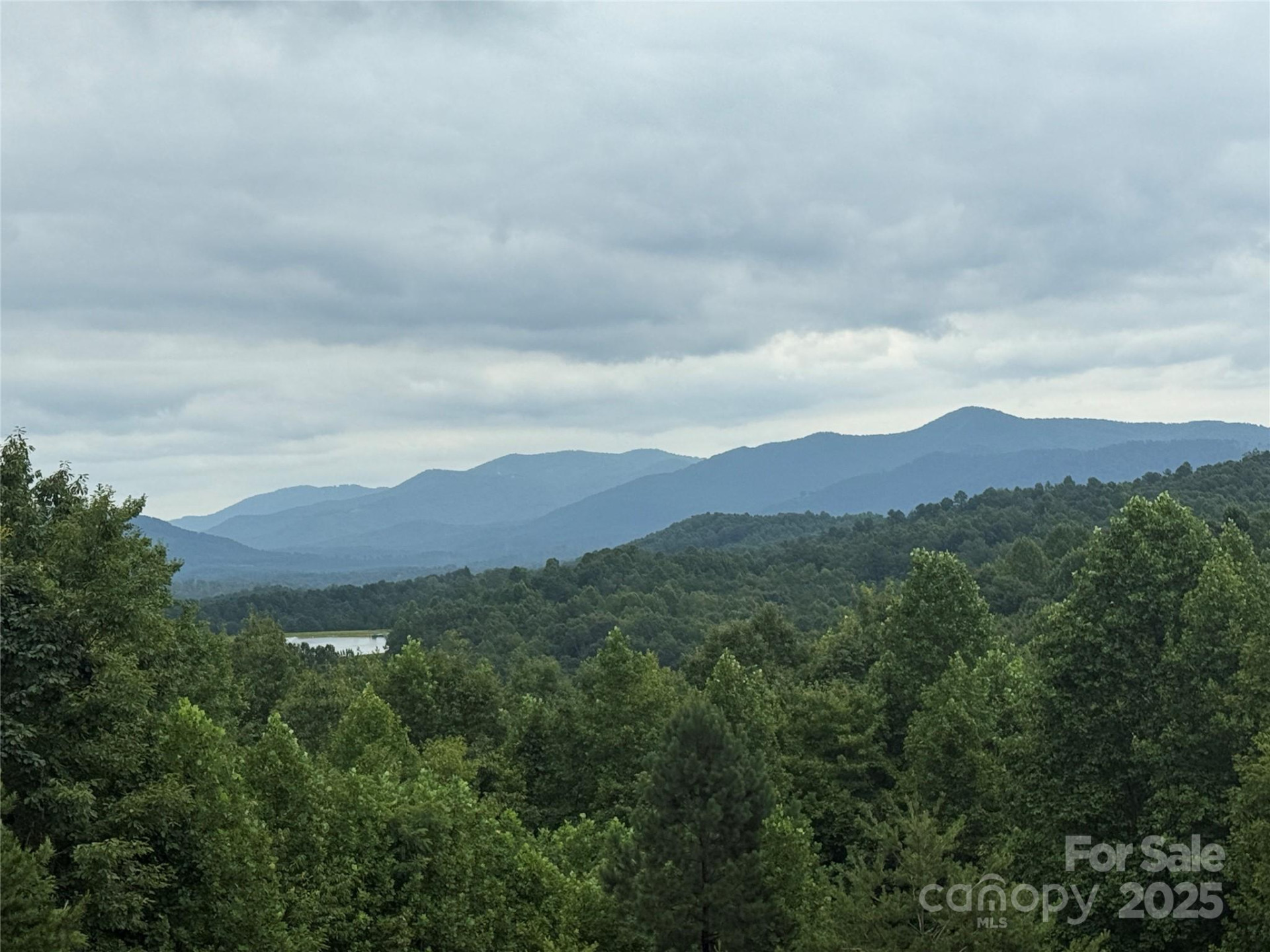 166 Coal Pit Mountain Drive #359 - Photo 4