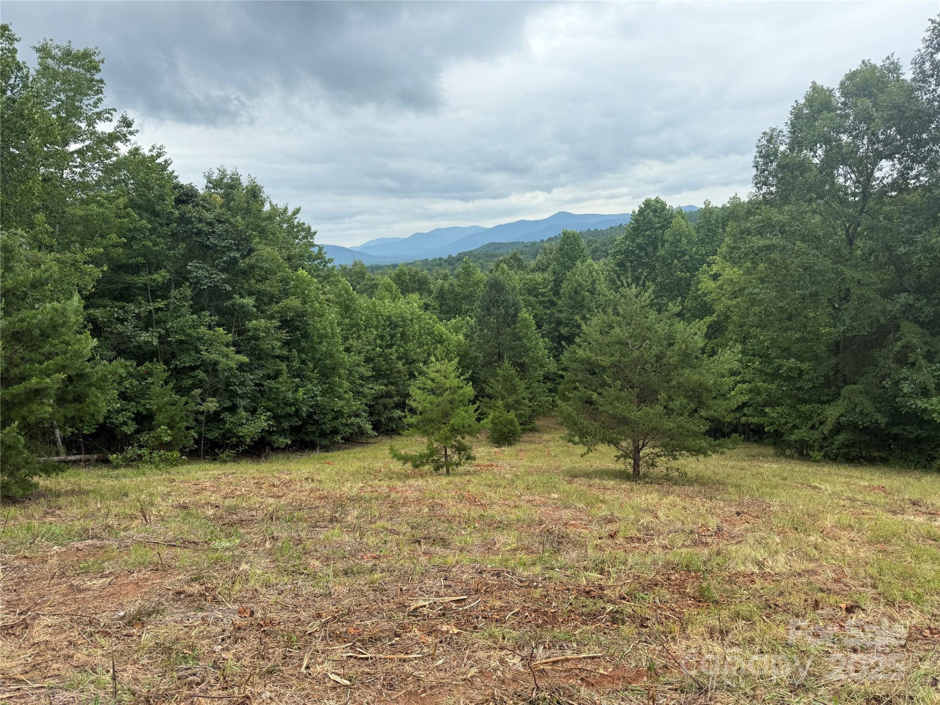 166 Coal Pit Mountain Drive #359 - Photo 6