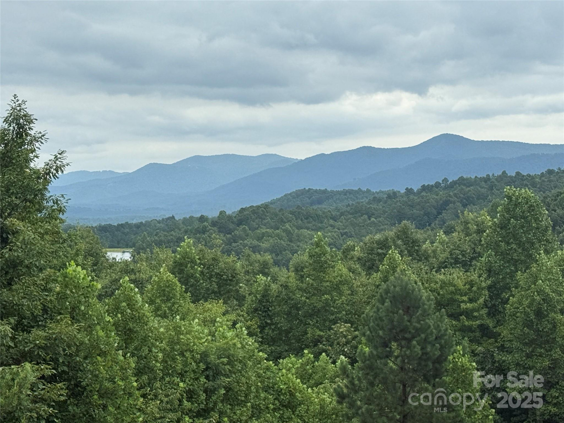 166 Coal Pit Mountain Drive #359 - Photo 8
