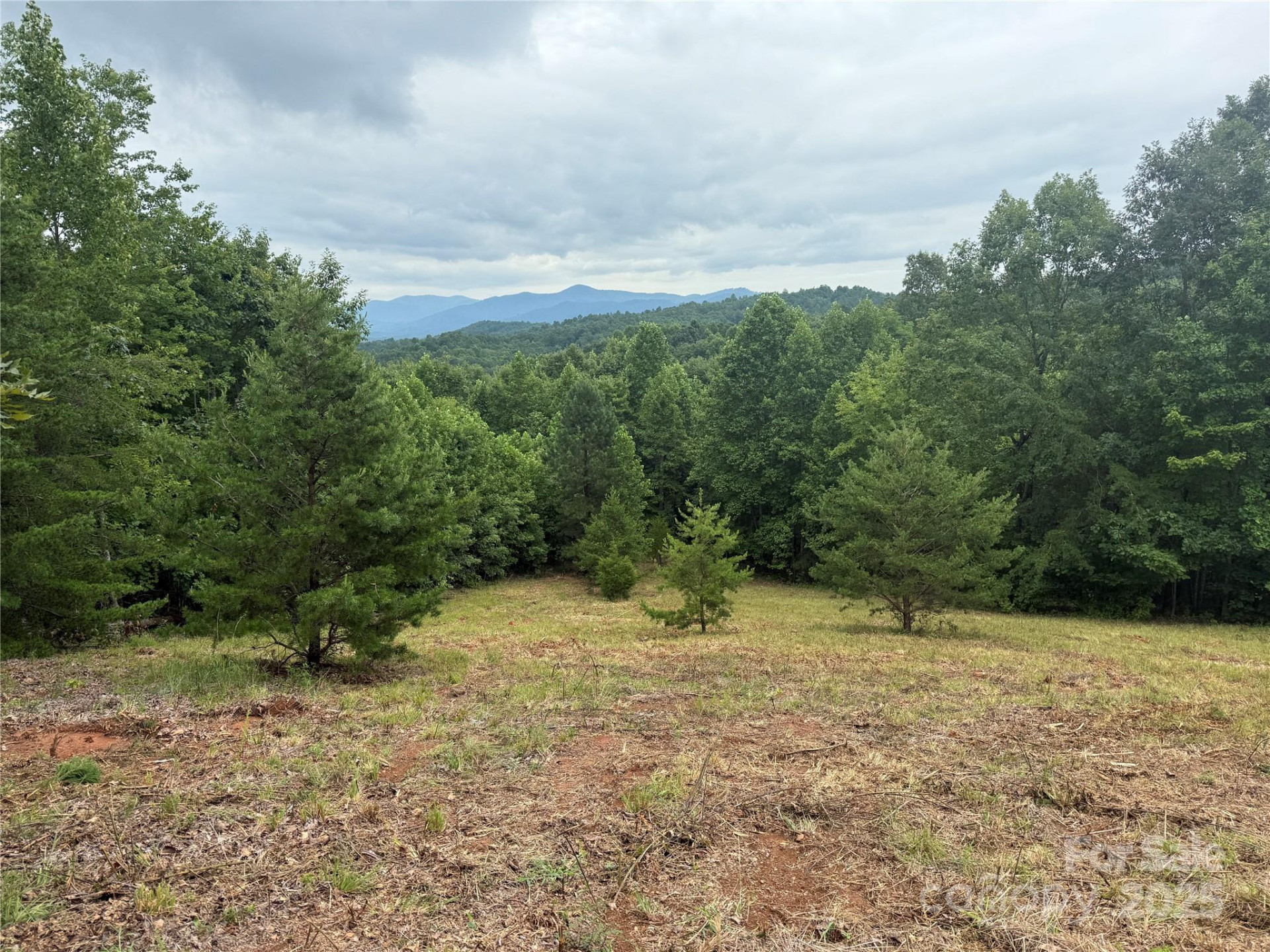 166 Coal Pit Mountain Drive #359 - Photo 9