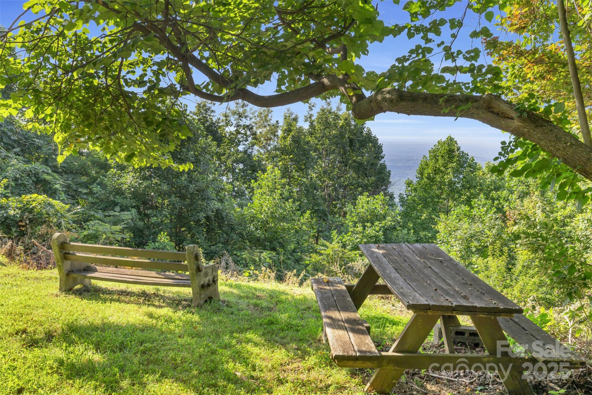 3605 Skyuka Mountain Road - Photo 27