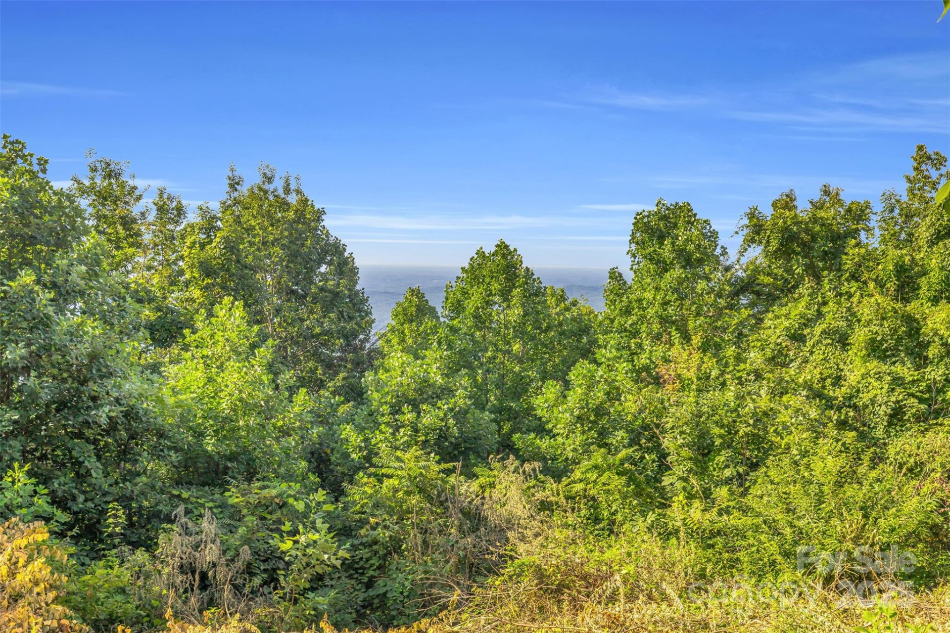 3605 Skyuka Mountain Road - Photo 28