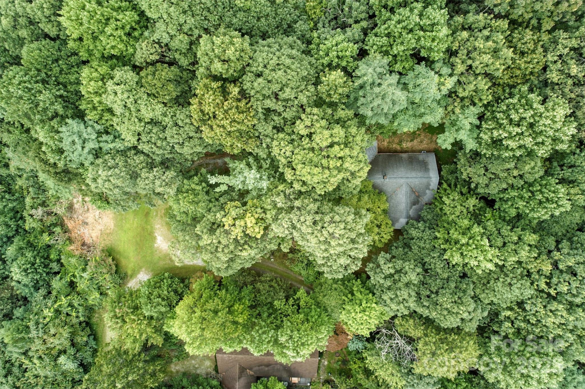 3605 Skyuka Mountain Road - Photo 40