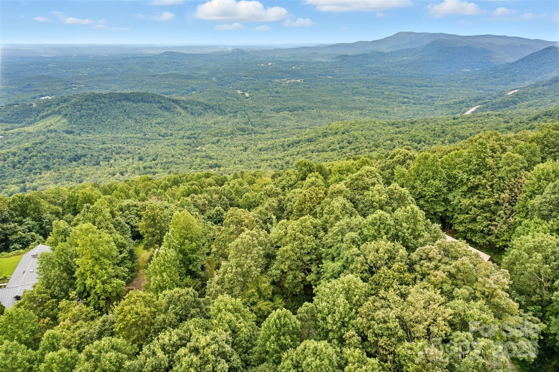 3605 Skyuka Mountain Road - Photo 41