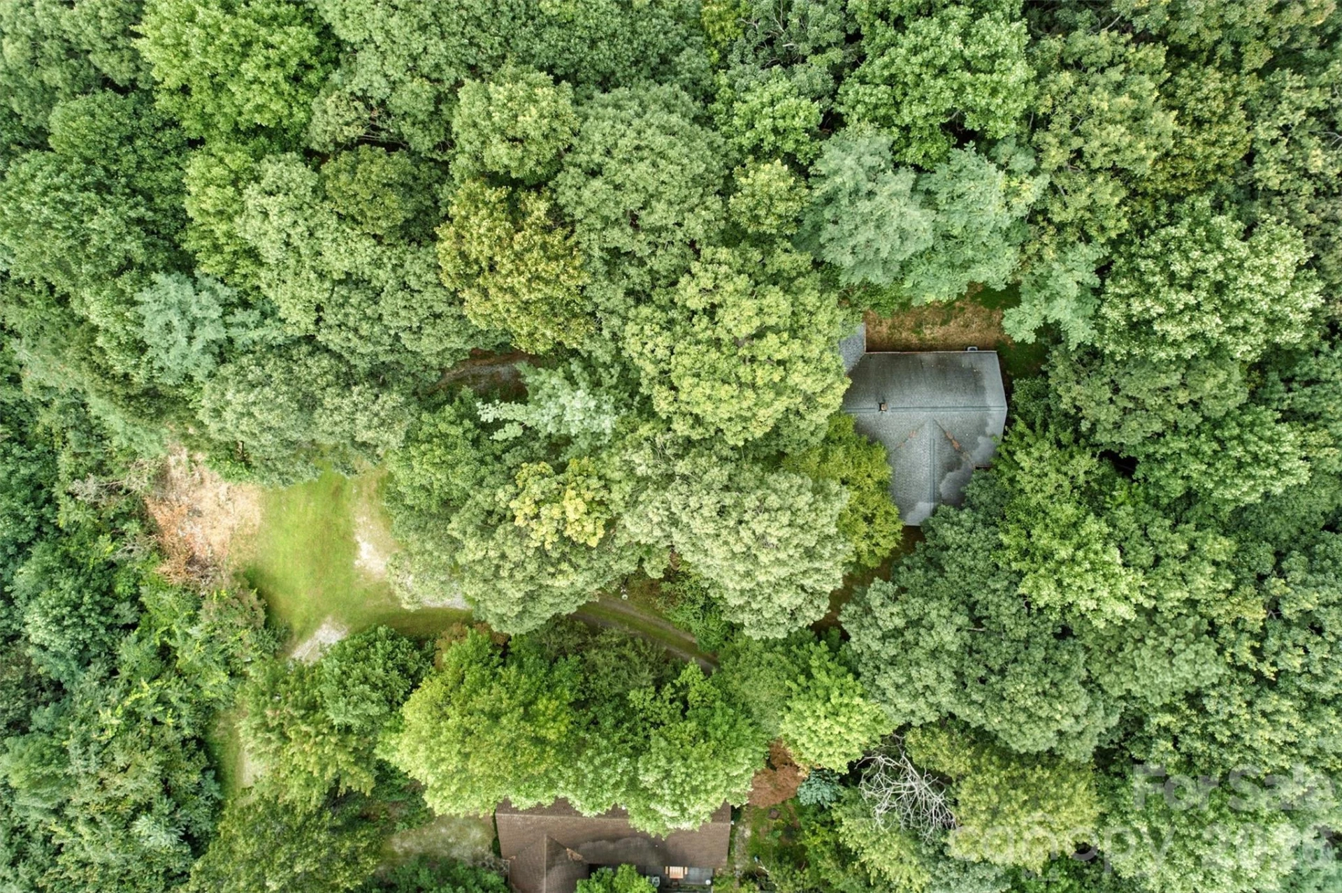 3605 Skyuka Mountain Road - Photo 81